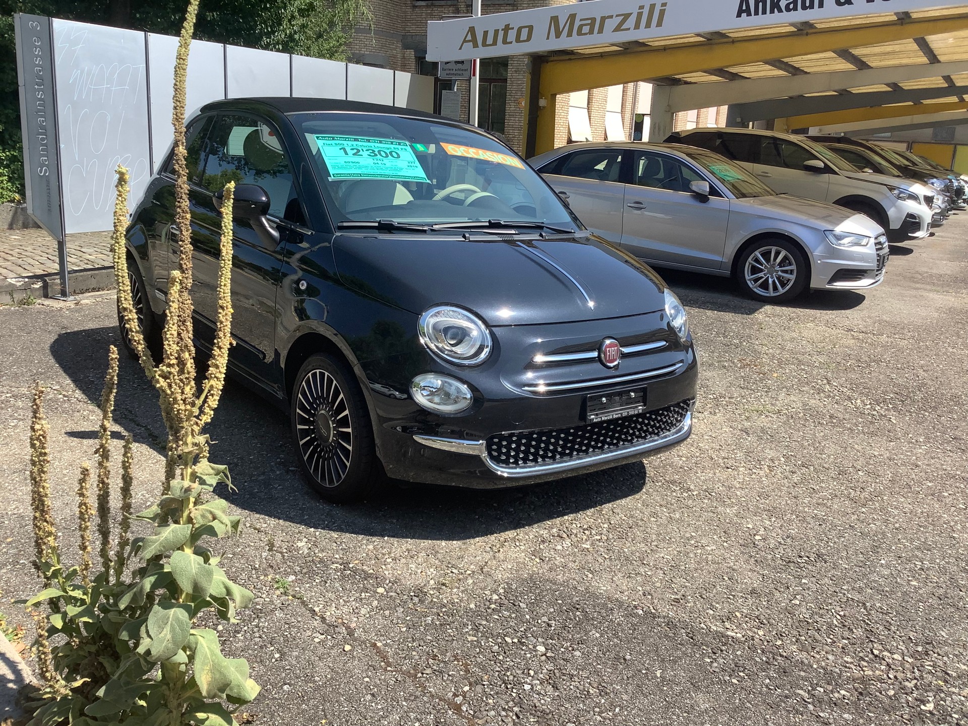 FIAT Cabriolet-image-3