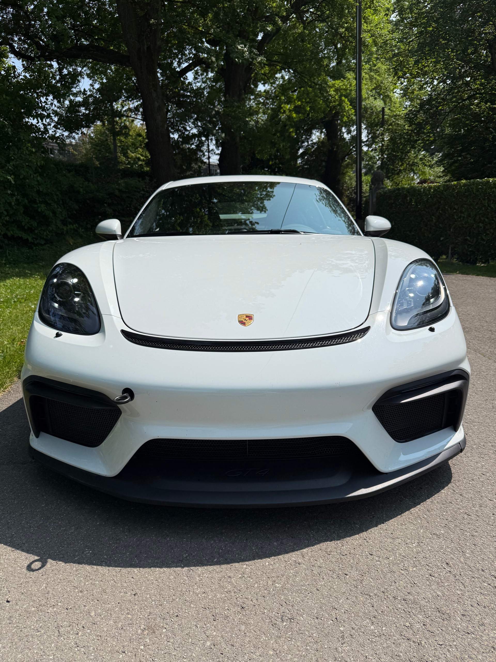 PORSCHE 718 Cayman GT4-image-1