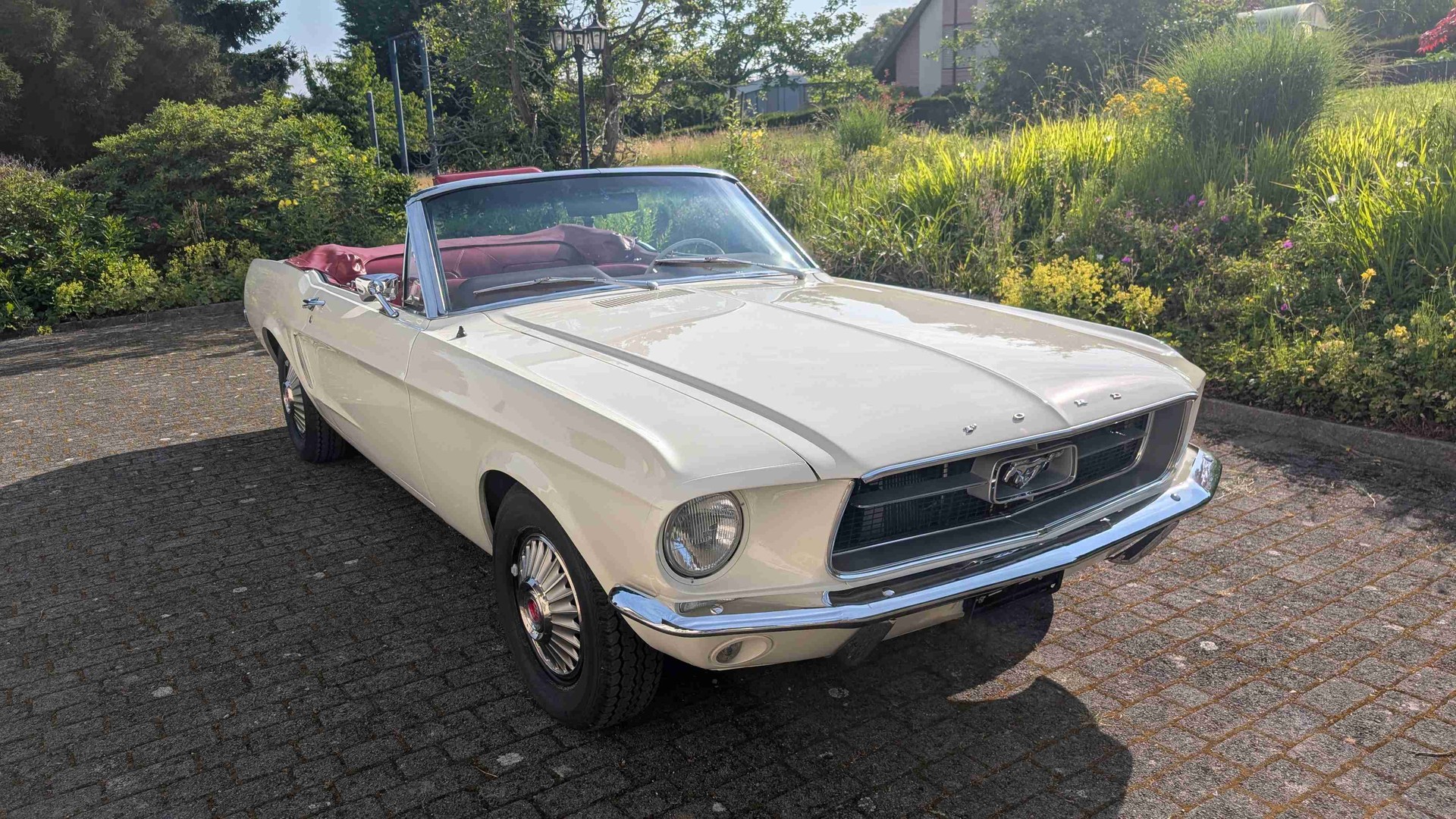 FORD Mustang Cabrio 289 V8 ab Service und MFK (VETERAN)-image-4
