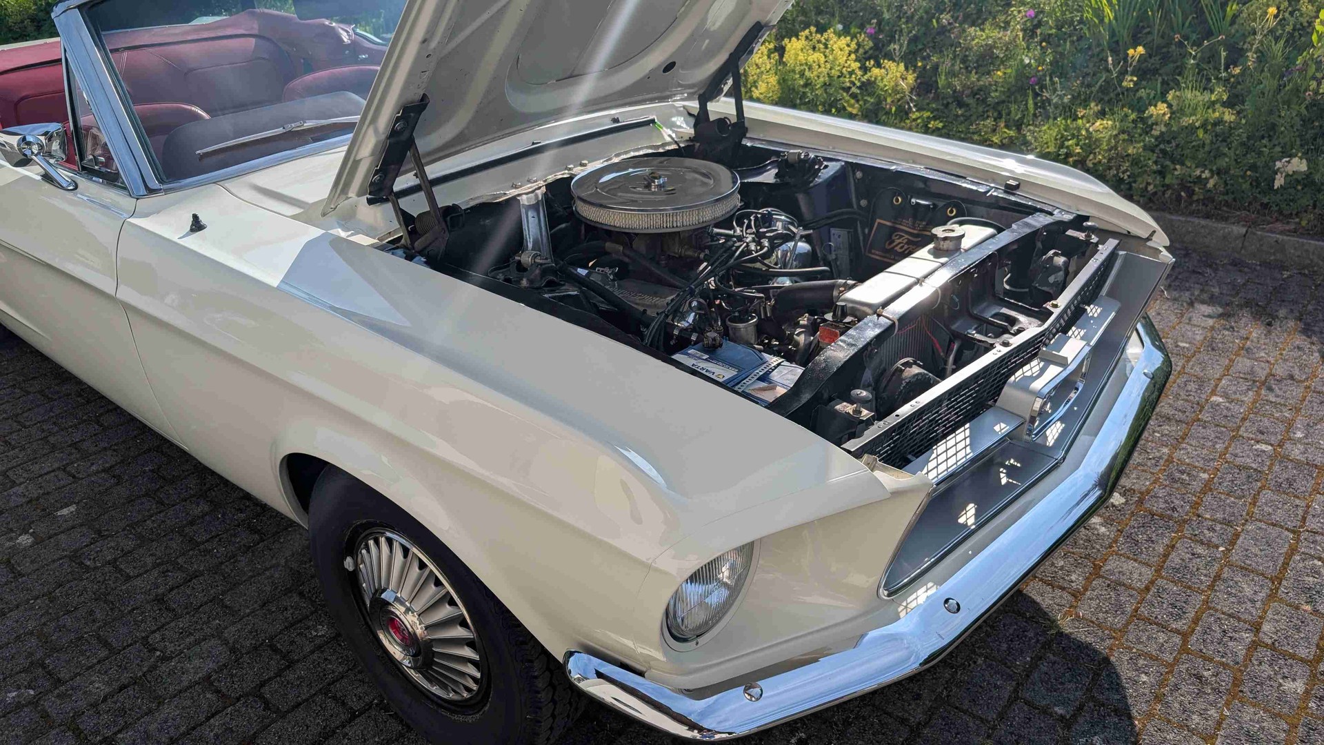 FORD Mustang Cabrio 289 V8 ab Service und MFK (VETERAN)-image-9
