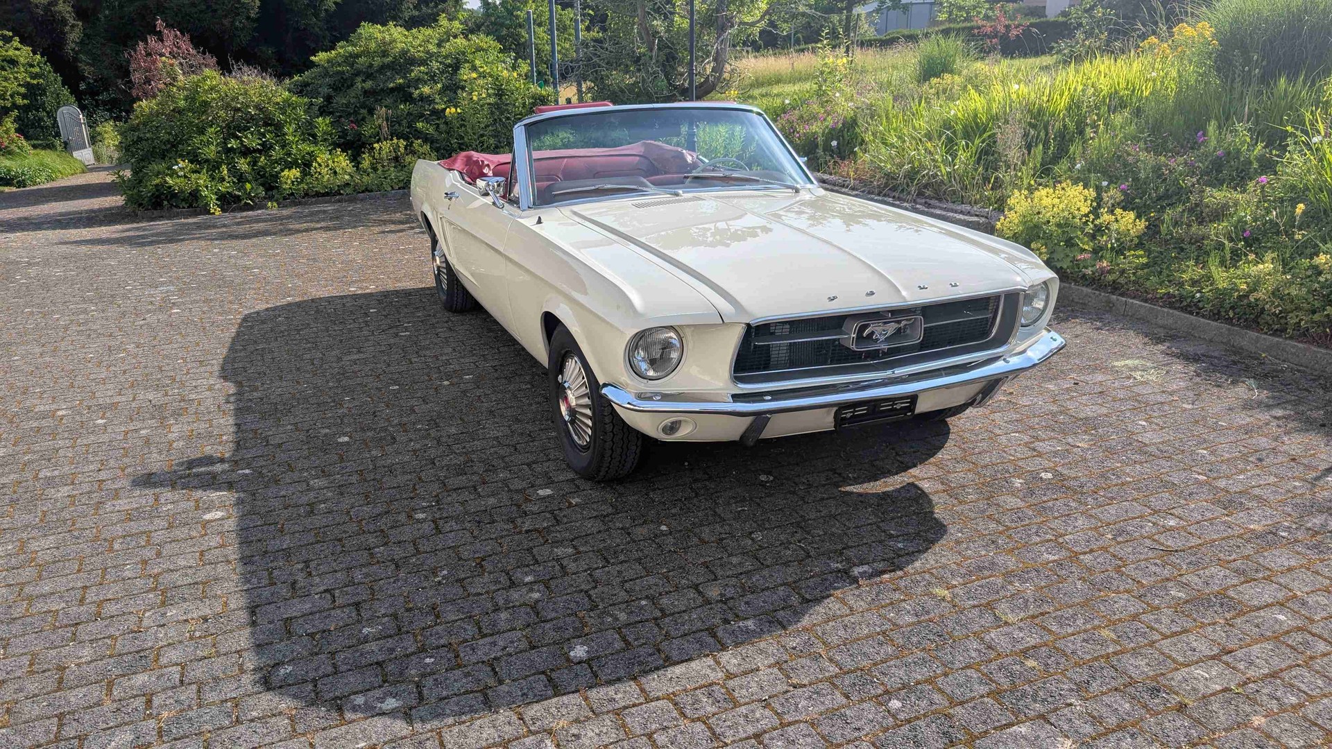 FORD Mustang Cabrio 289 V8 ab Service und MFK (VETERAN)-image-1