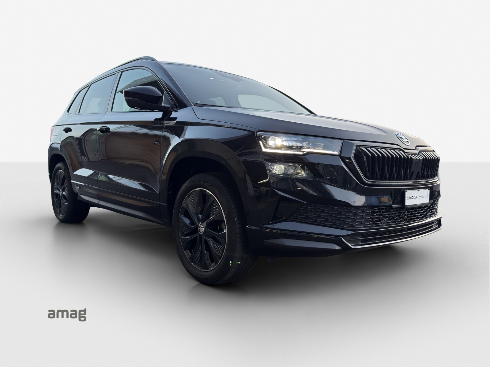 SKODA Karoq 2.0 TSI SportLine 4x4 DSG-image-5
