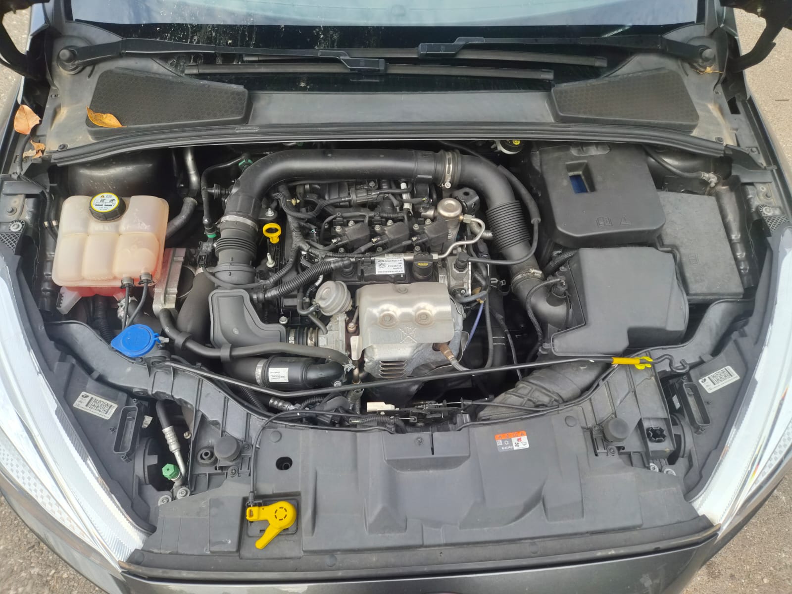 FORD Focus 1.0 SCTi Business-image-9