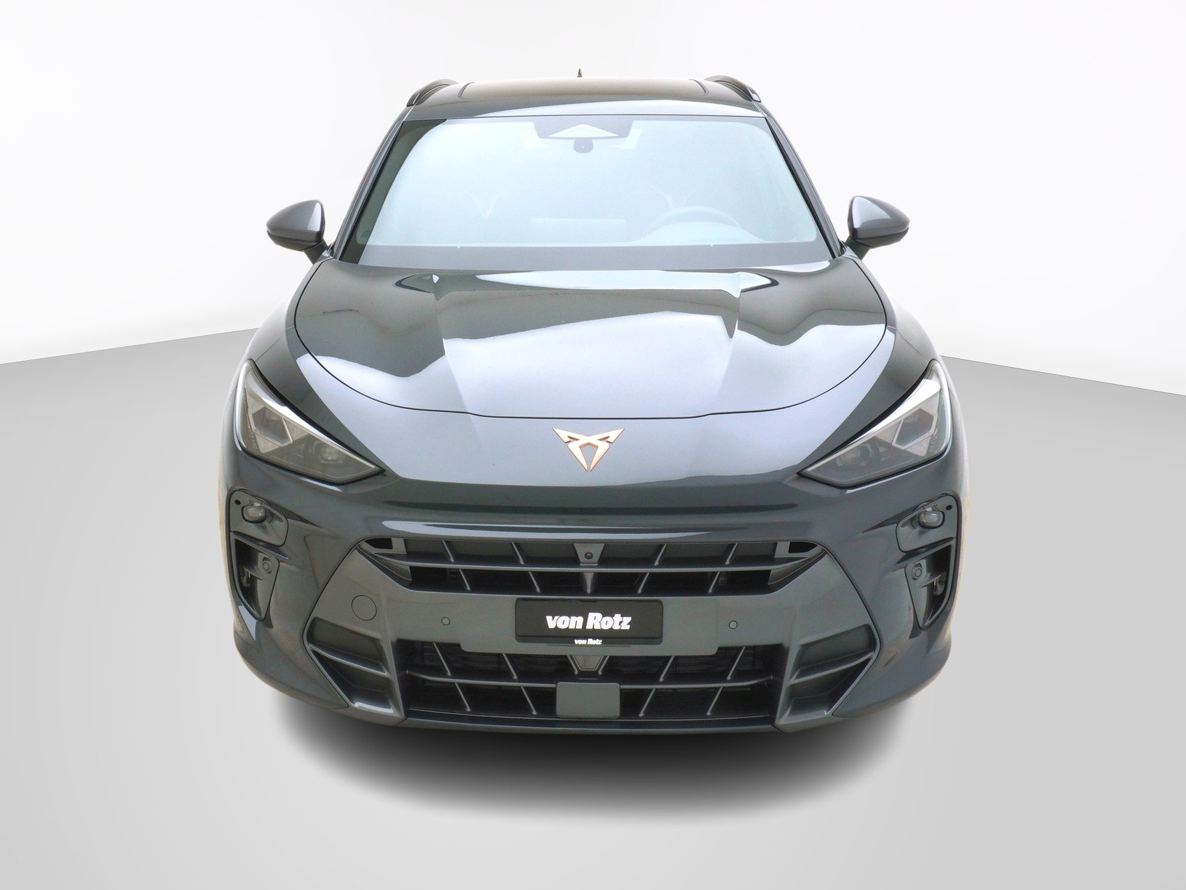 CUPRA Terramar 2.0 TSI VZ 4Drive DSG-image-6