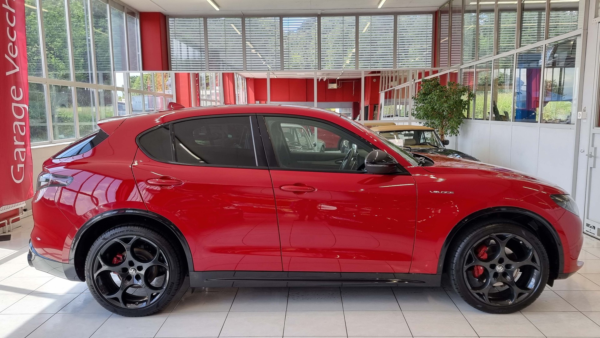 ALFA ROMEO Stelvio 2.0 Q4 280 Veloce-image-5