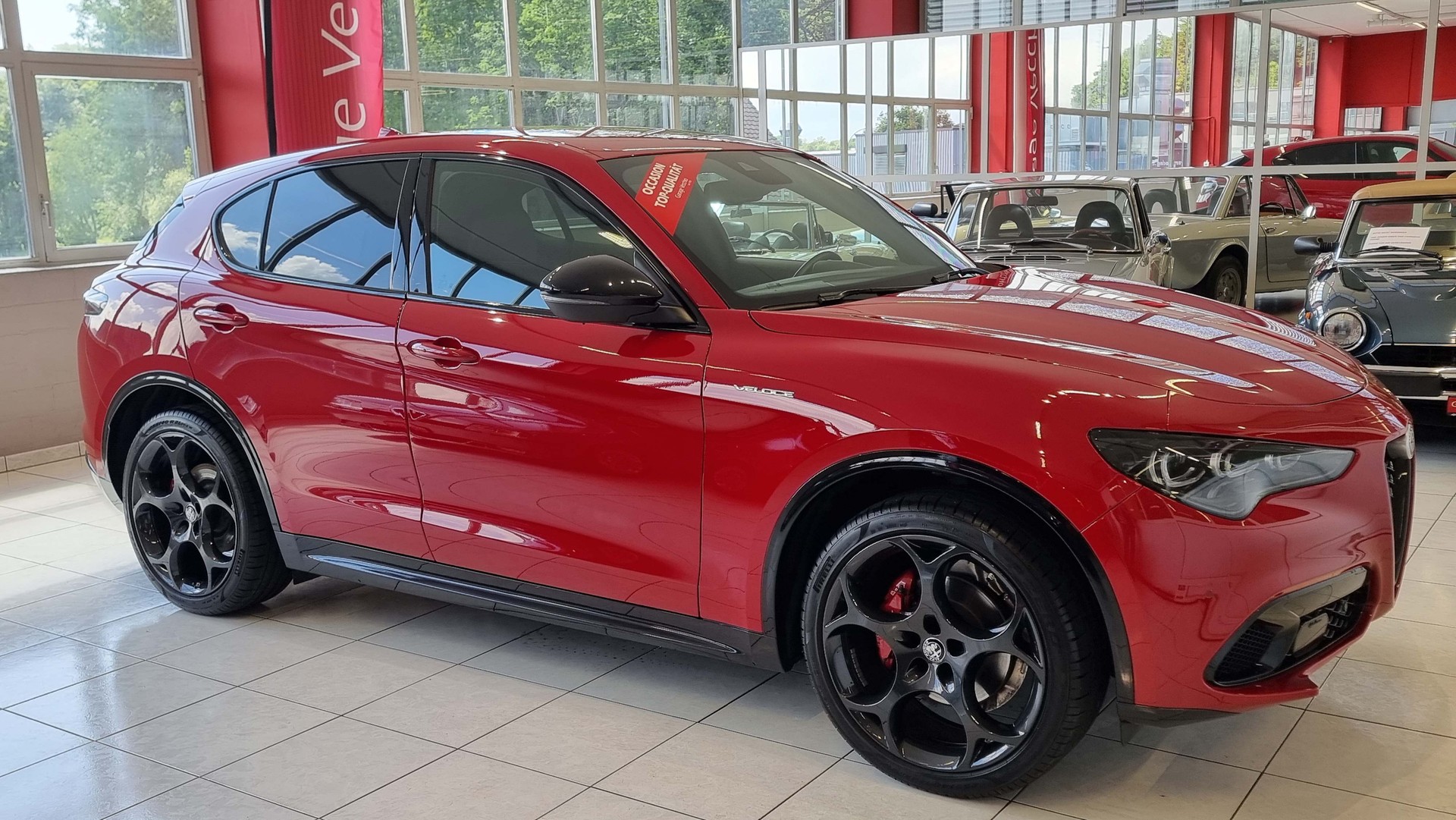 ALFA ROMEO Stelvio 2.0 Q4 280 Veloce-image-6