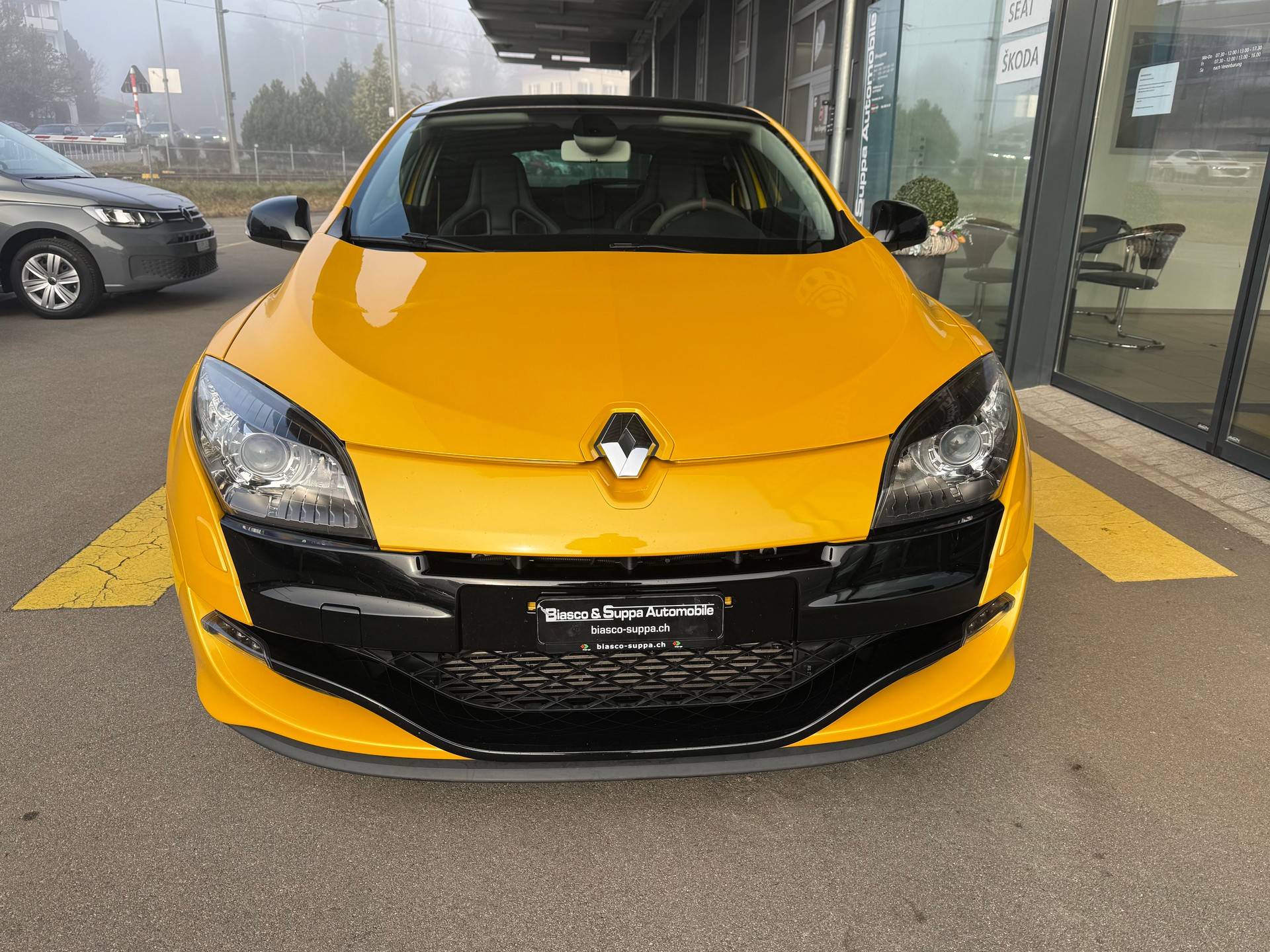 RENAULT Mégane Coupé 2.0 16V Turbo Trophy RS-image-1
