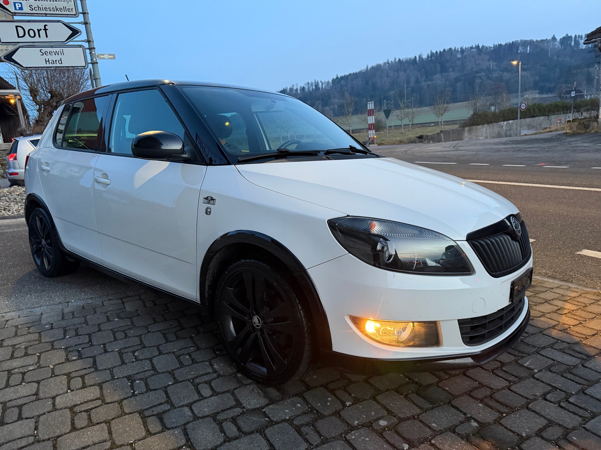 SKODA Fabia 1.2 TSI Monte Carlo-image-5