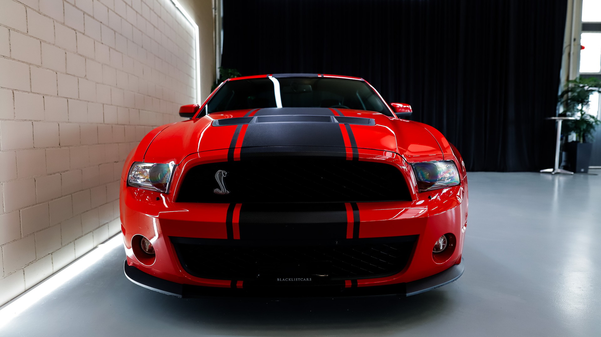 FORD Shelby GT 500 SVT-showroom-element-2
