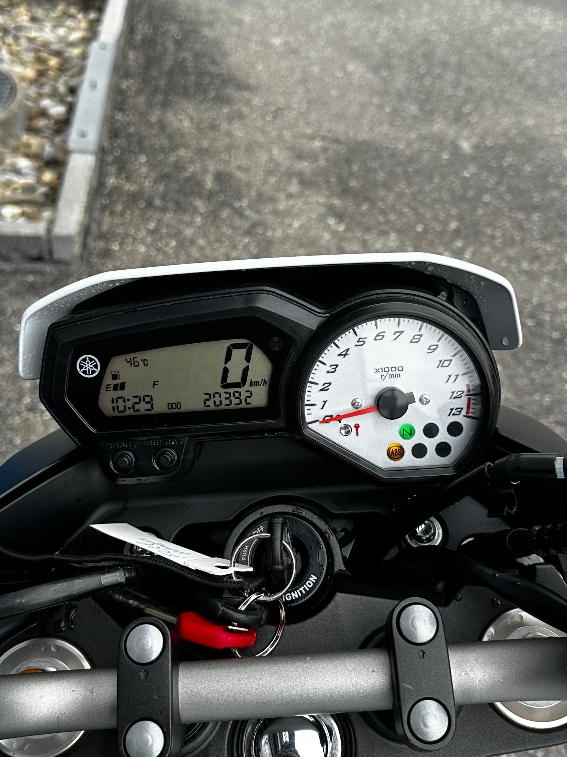 YAMAHA FZ8 N ABS (Kundenauftrag)-image-5