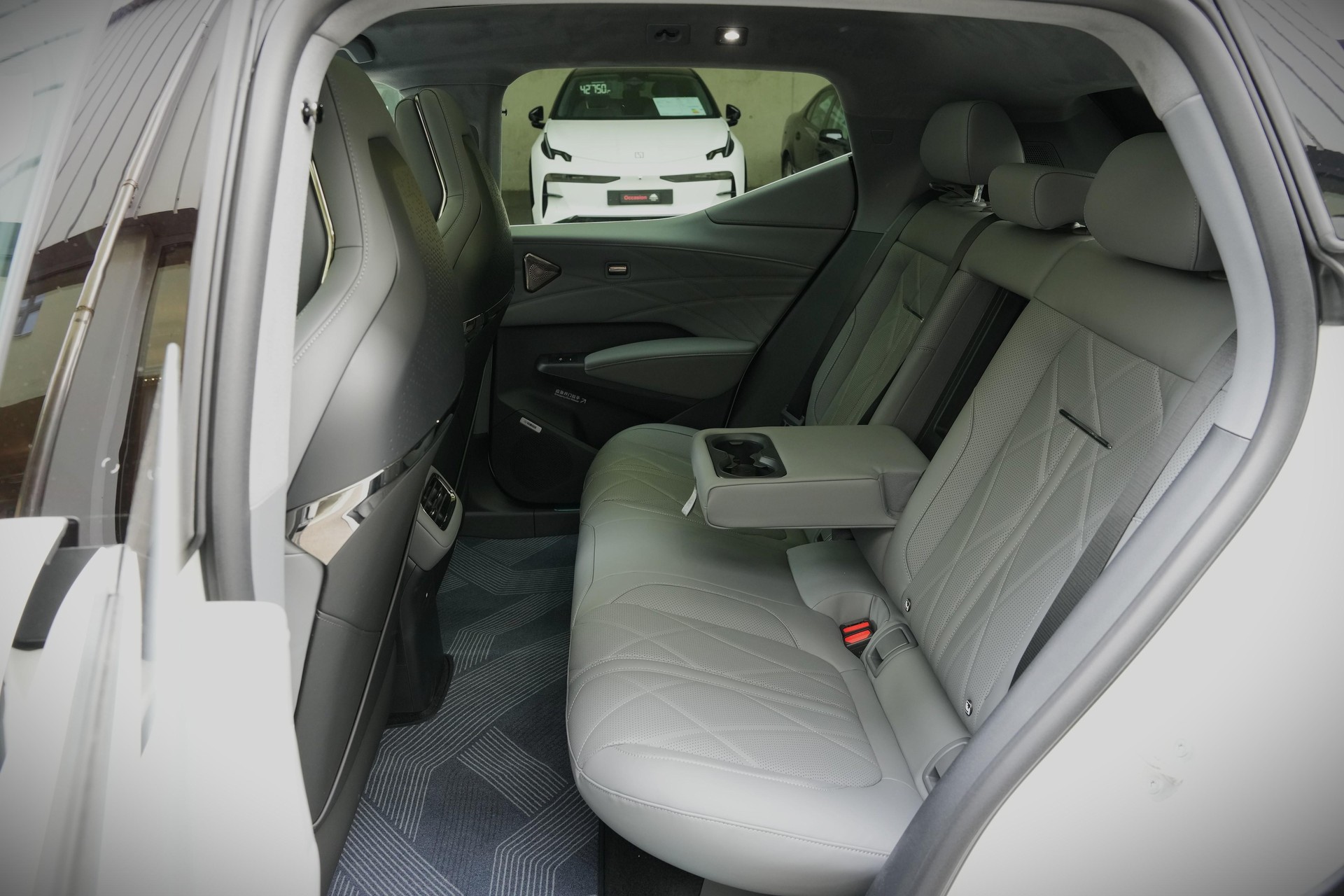 ZEEKR X Privilege AWD-image-7