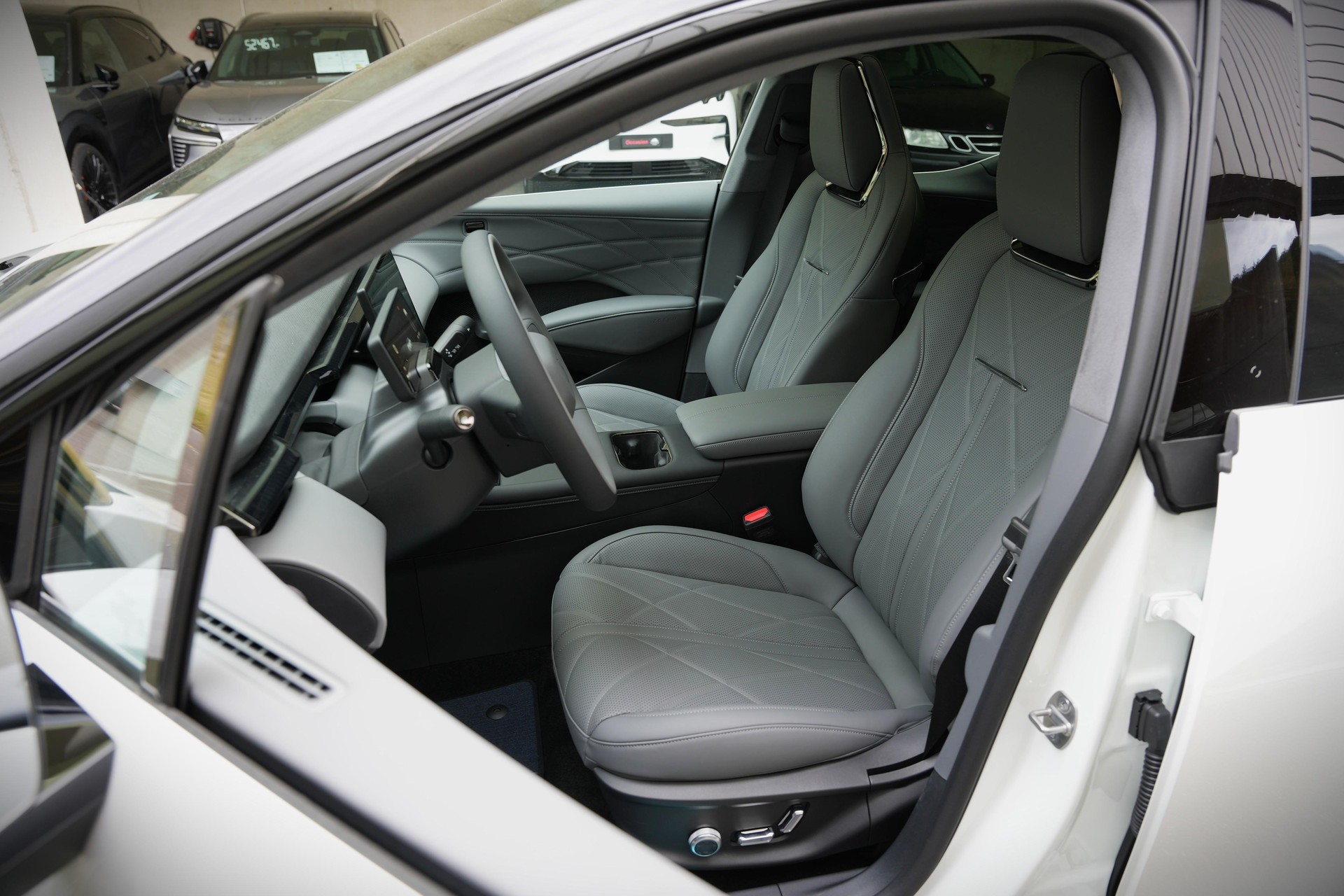 ZEEKR X Privilege AWD-image-6