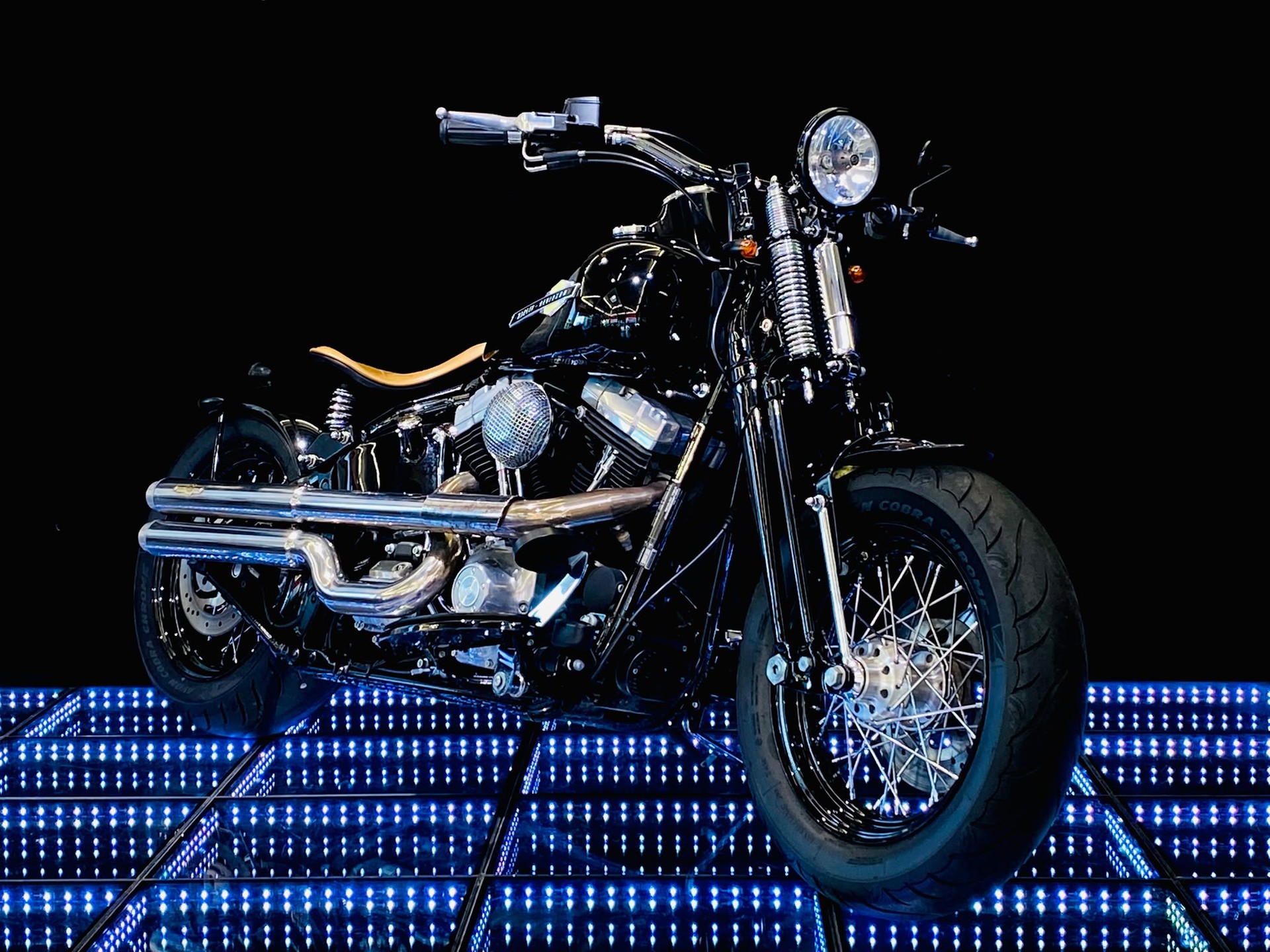 HARLEY-DAVIDSON FLSTSB Cross Bones