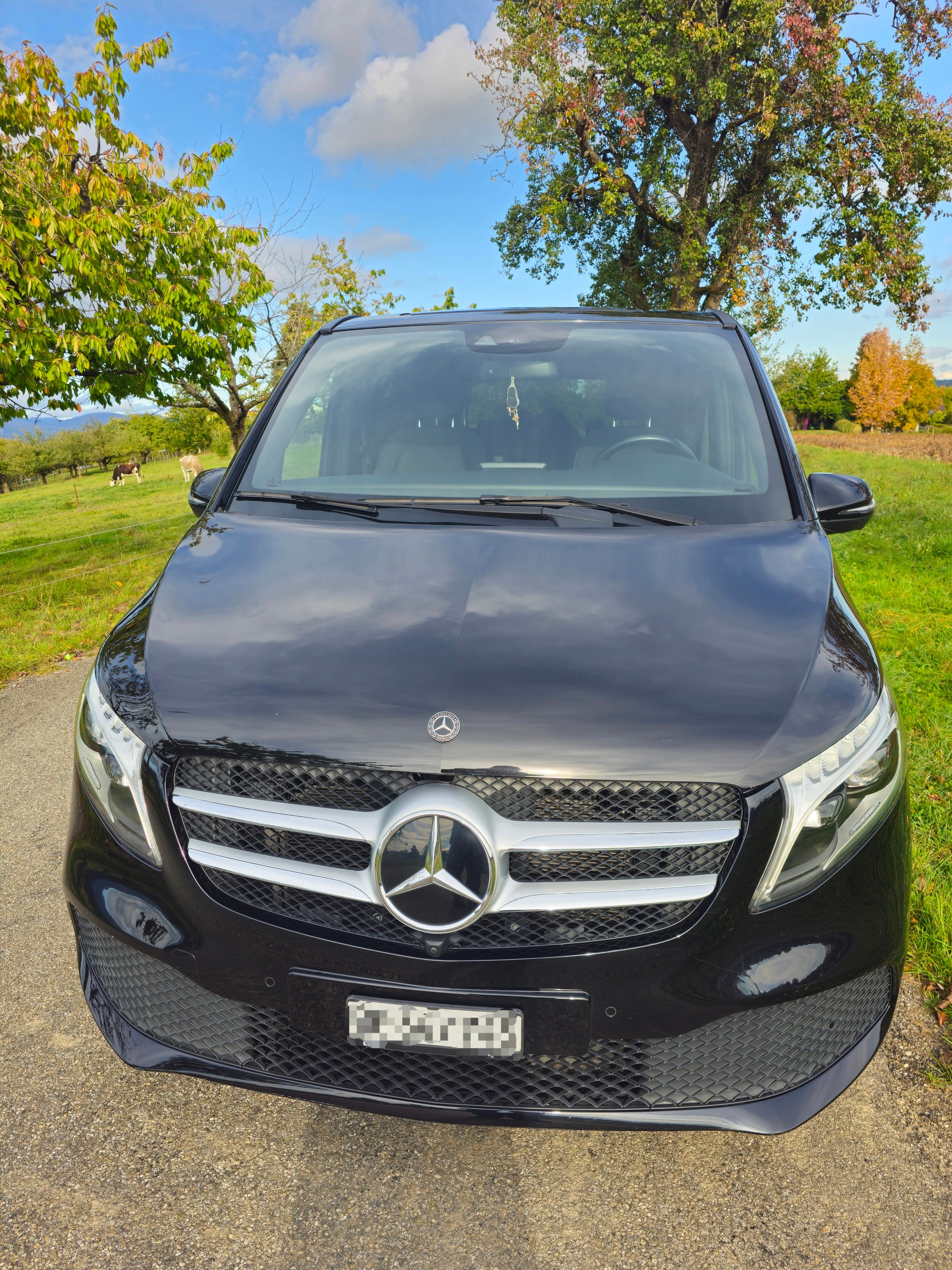 MERCEDES-BENZ V 250 d kompakt Trend 9G-Tronic-image-1