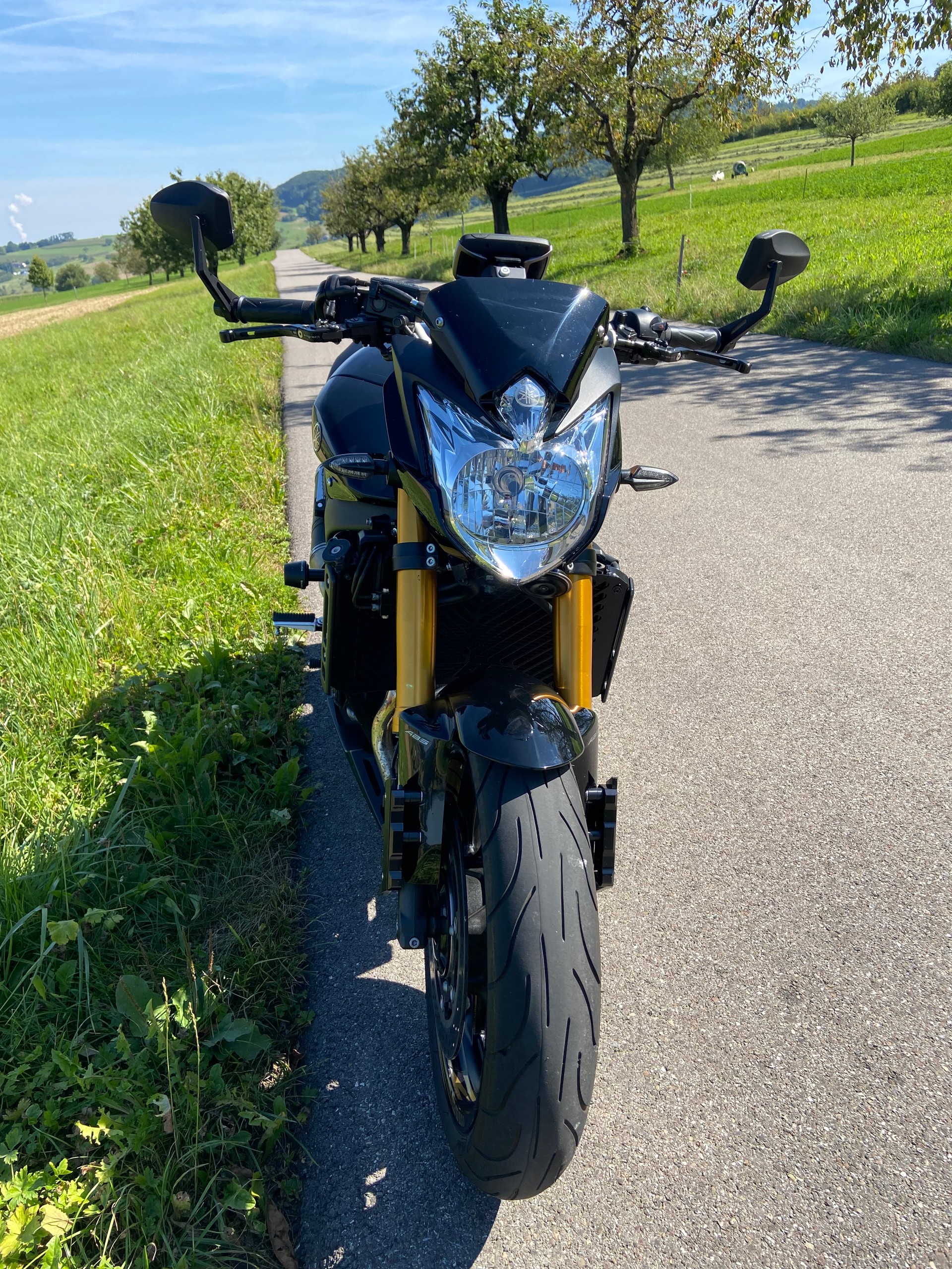 YAMAHA FZ8-image-3