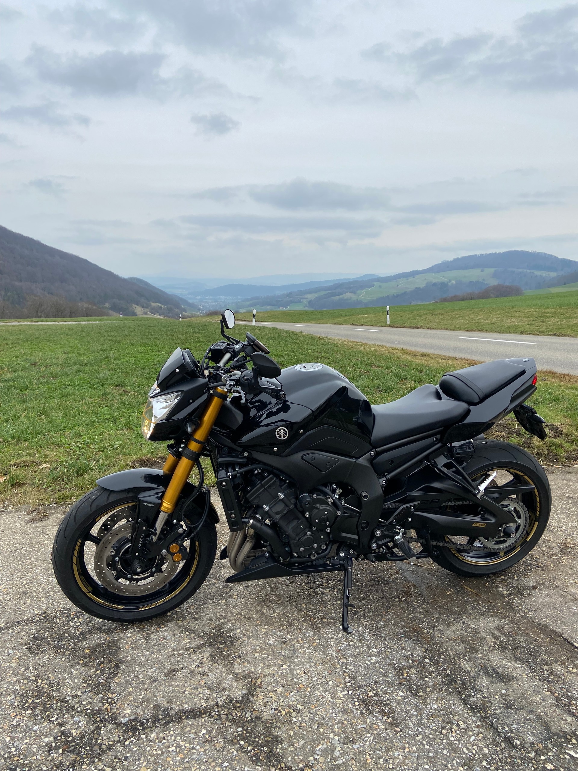 YAMAHA FZ8-image-2