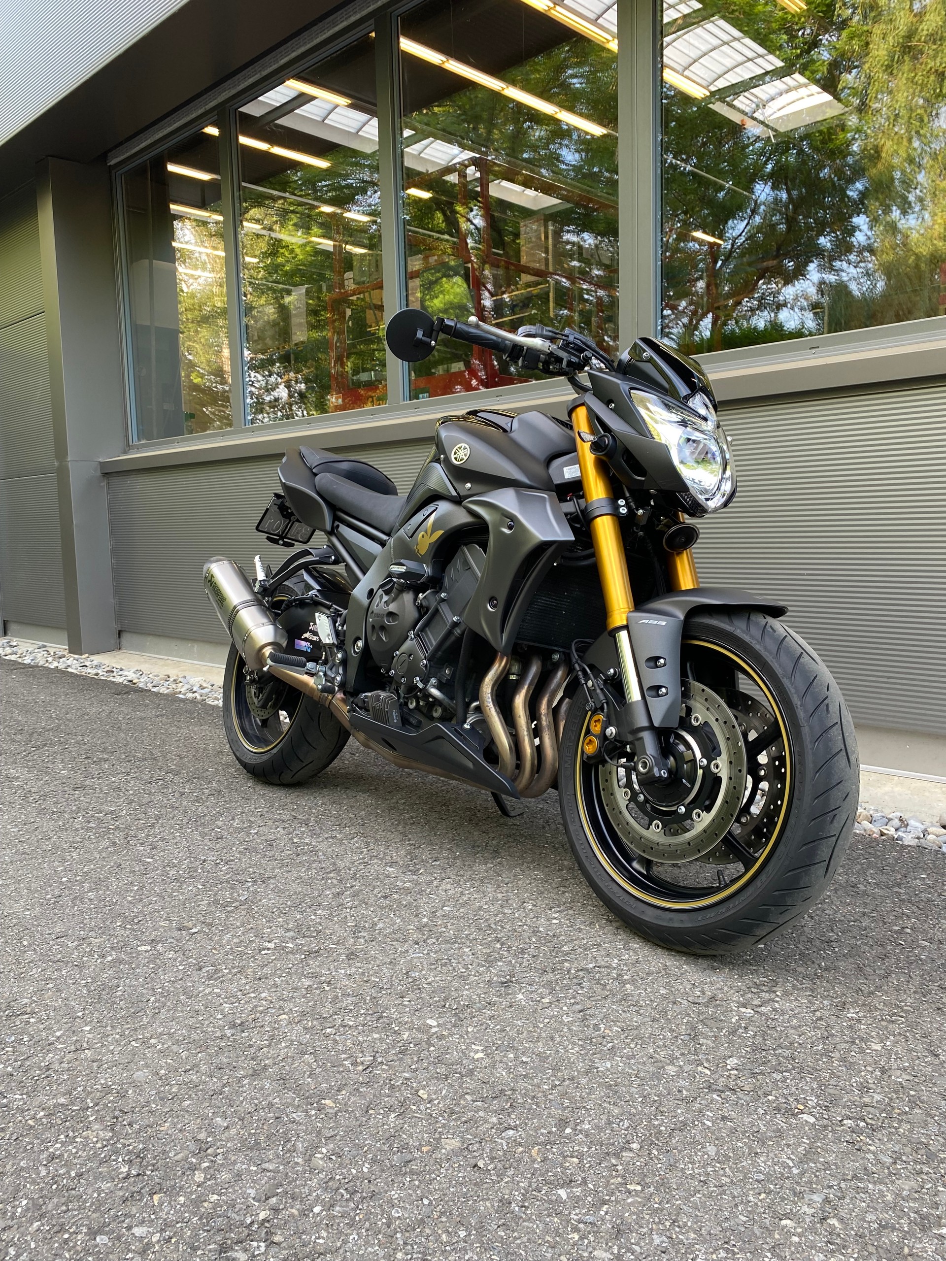 YAMAHA FZ8 N ABS-image-6