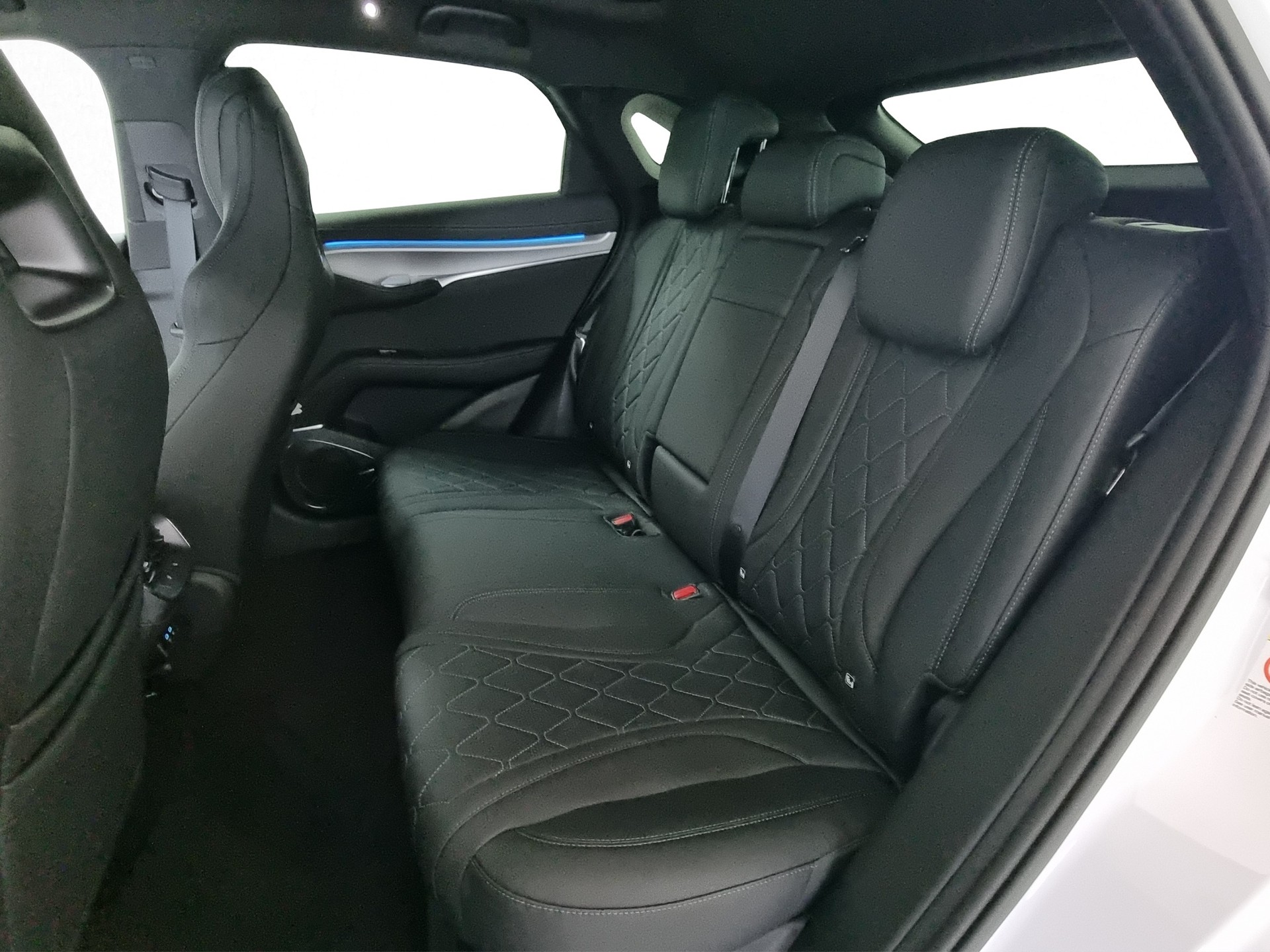 BYD Sealion 7 91,3 kWh Excellence AWD-image-6