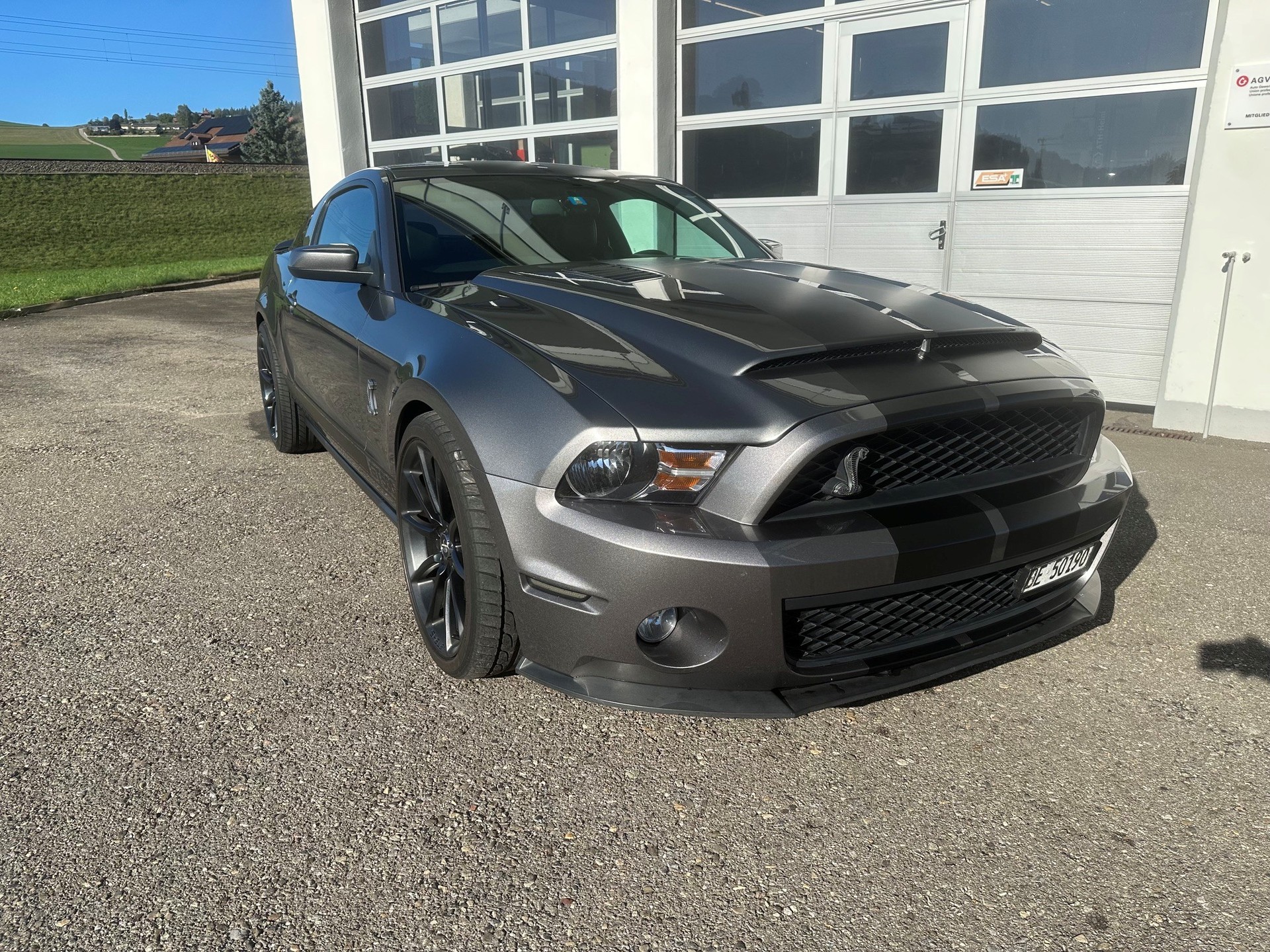 FORD Mustang GT 500 Shelby-image-2