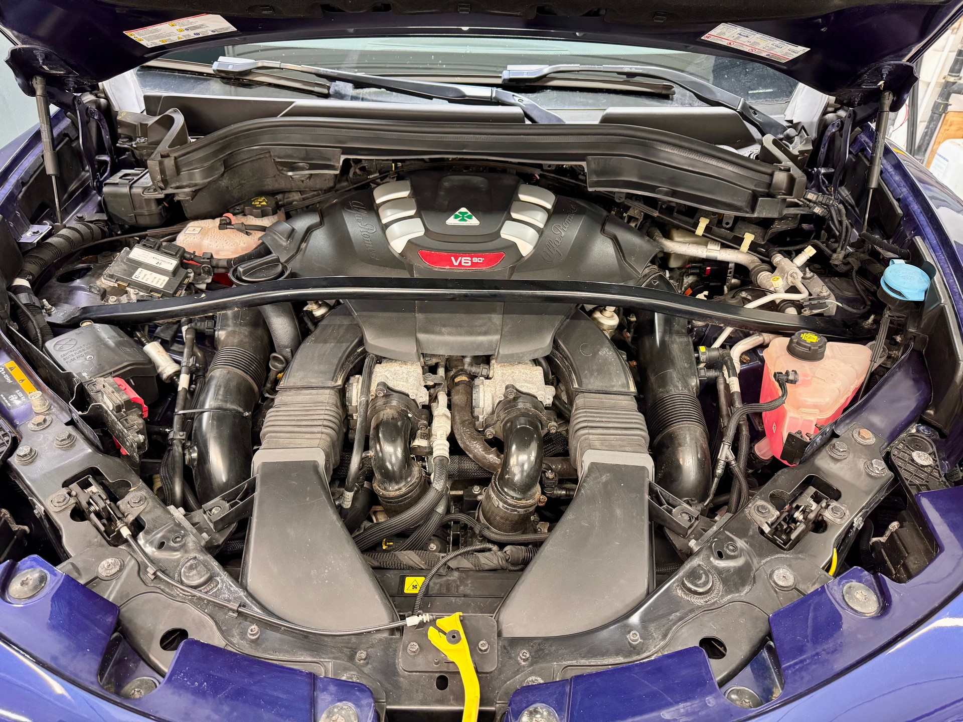 ALFA ROMEO Stelvio 2.9 V6 Quadrifoglio Q4 Automatic-image-6