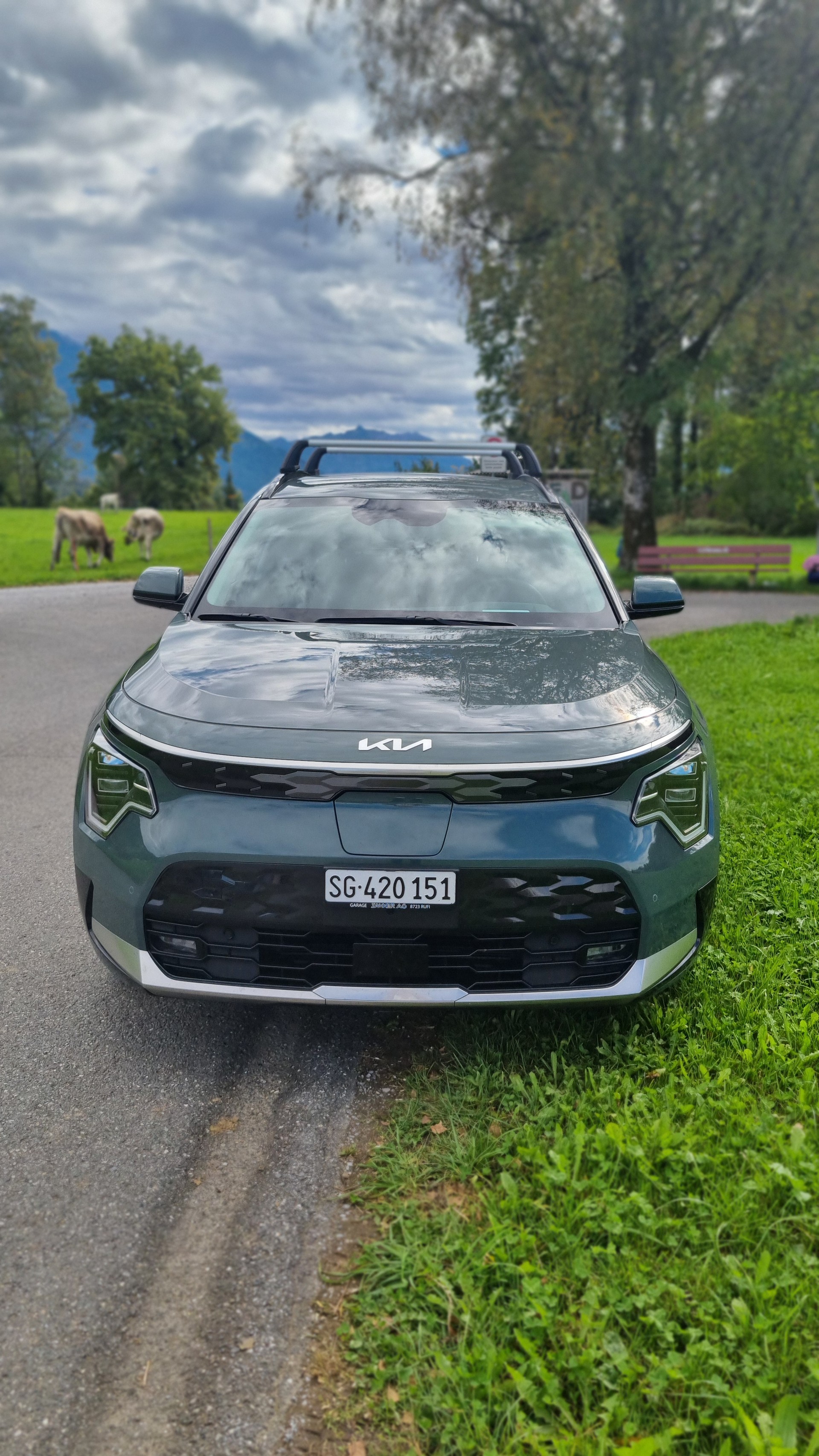 KIA Niro EV 64,8 kWh Power Edition-image-1