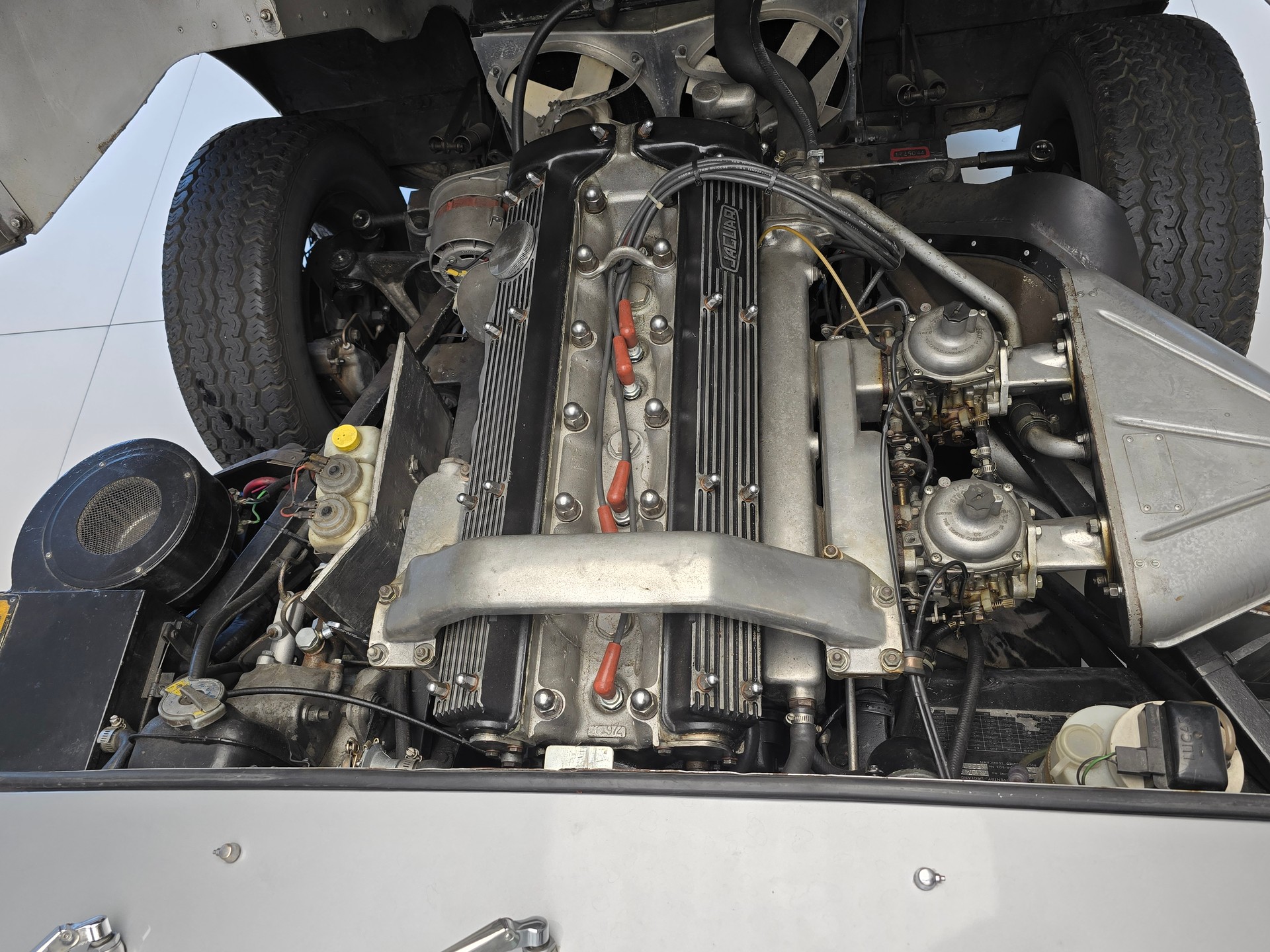 JAGUAR E Type XKE-image-15