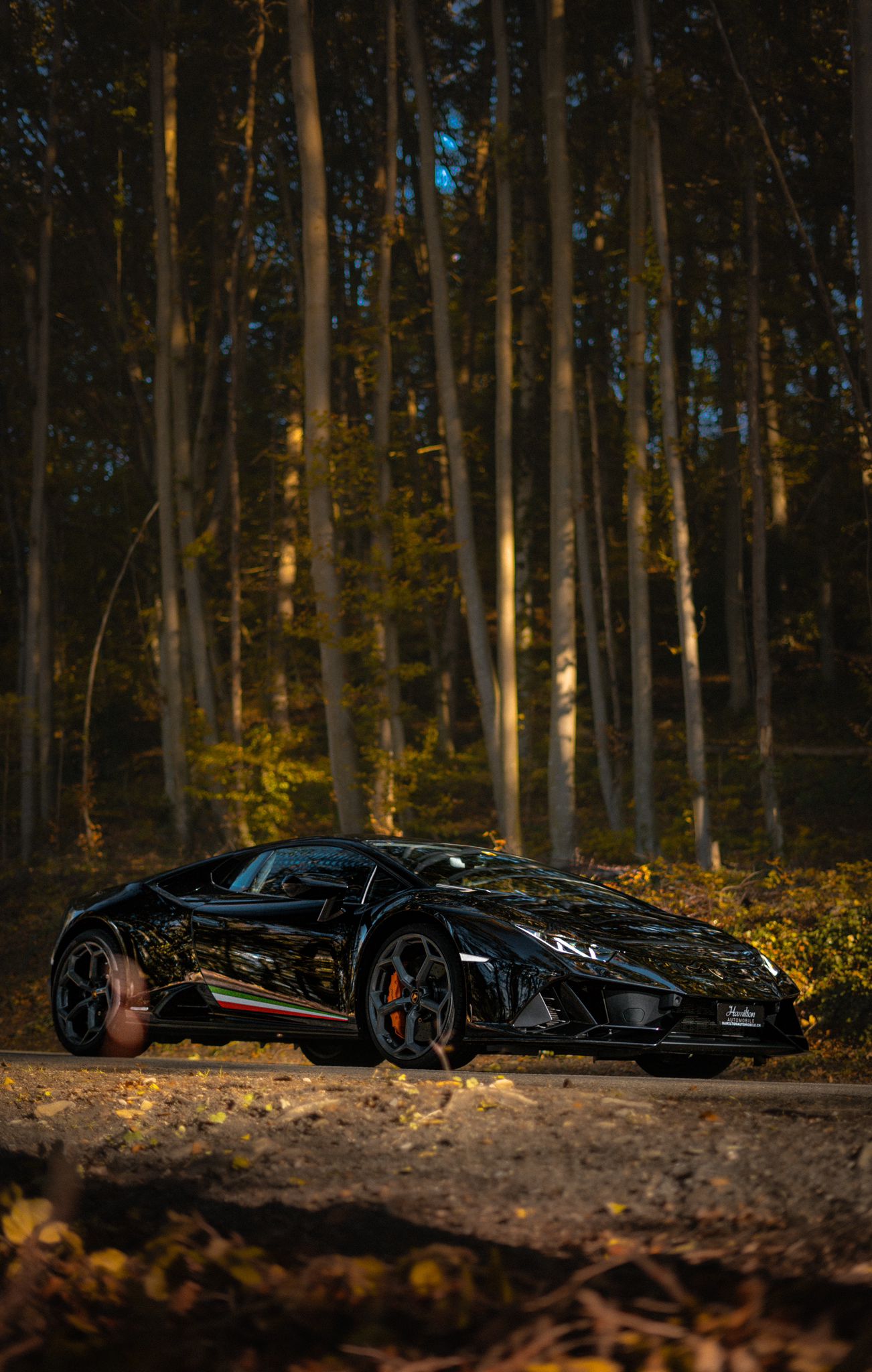 LAMBORGHINI Huracan EVO Coupé DCT-image-1