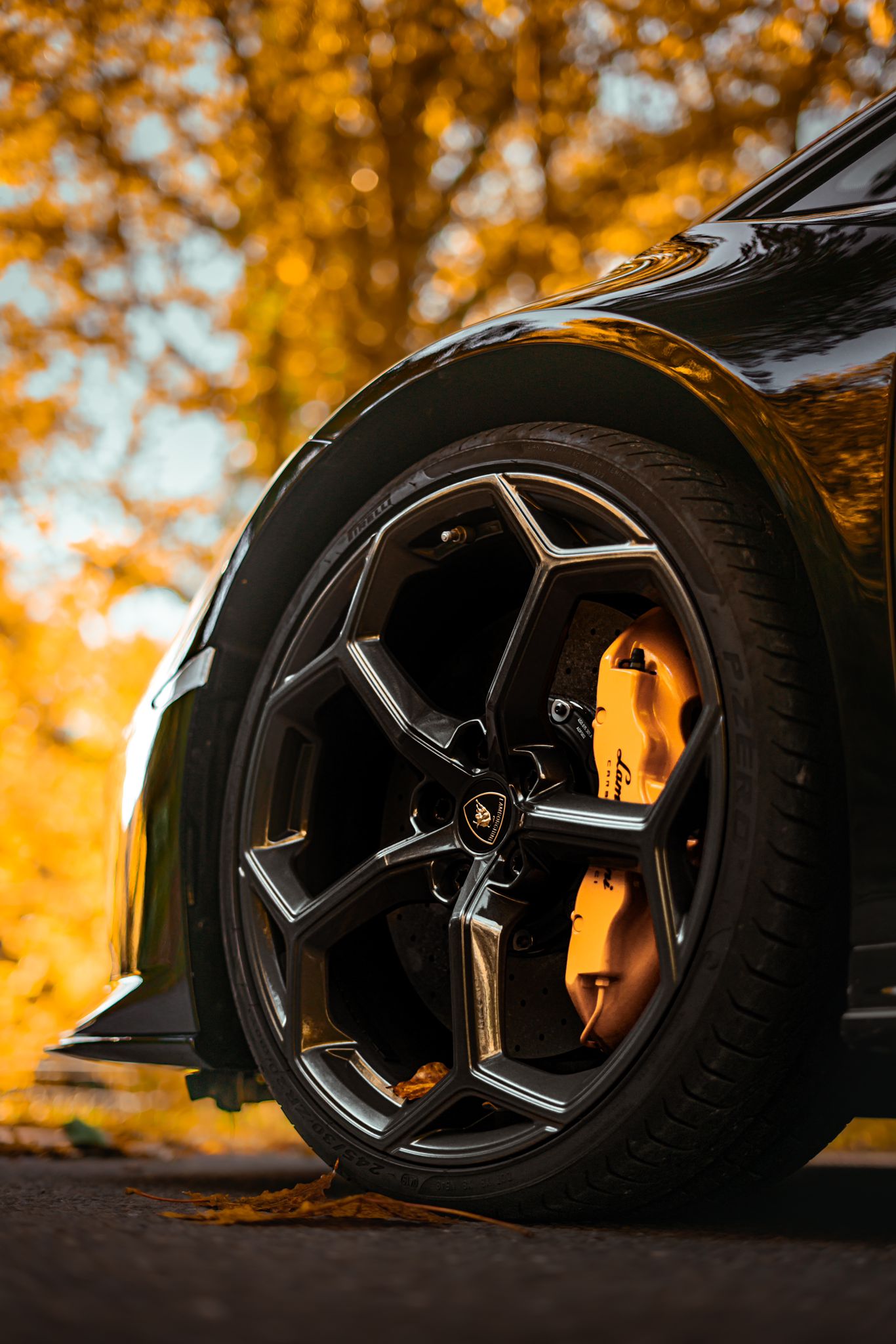 LAMBORGHINI Huracan EVO Coupé DCT-image-2