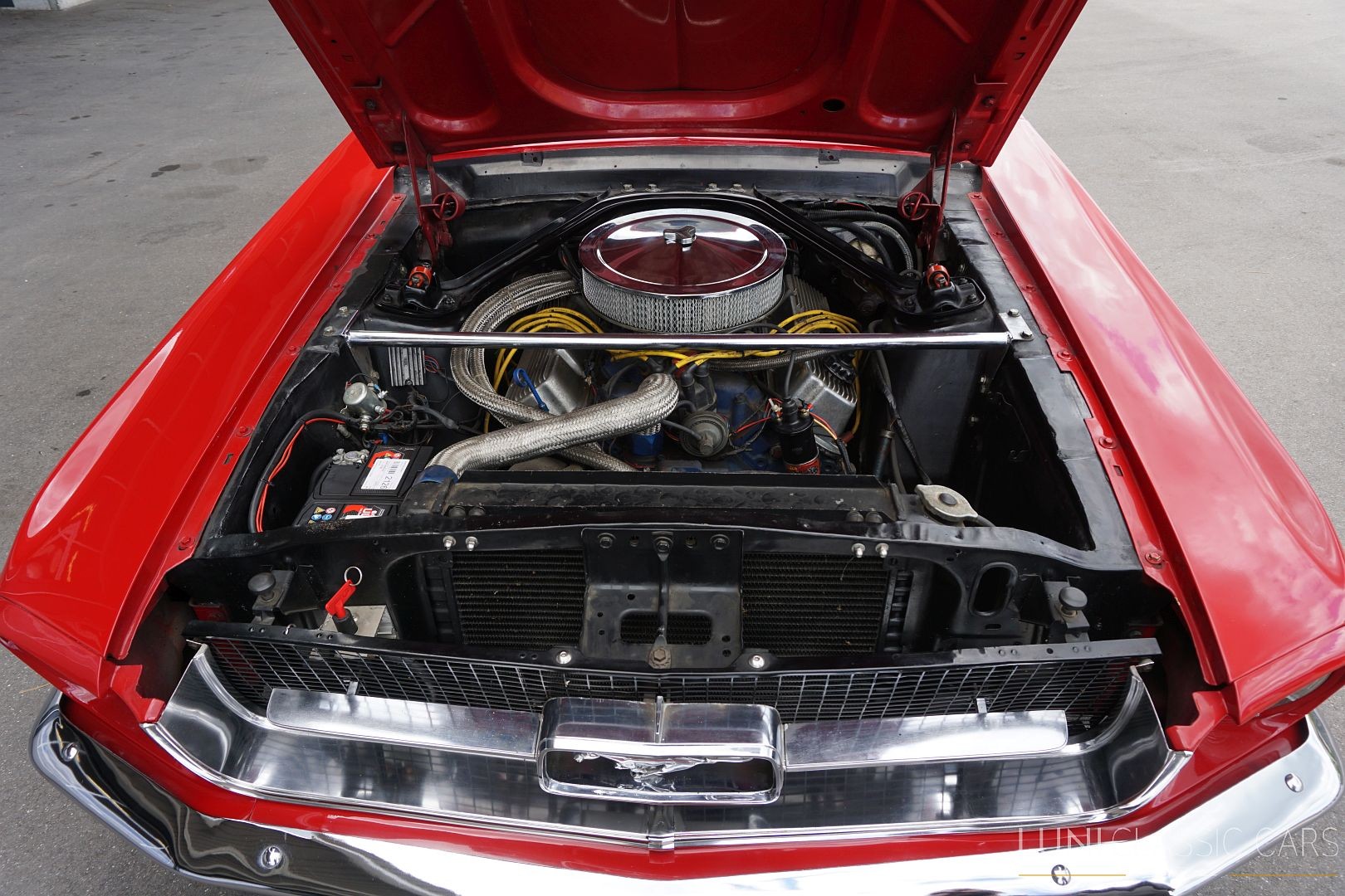 FORD Mustang Convertible 351-image-24