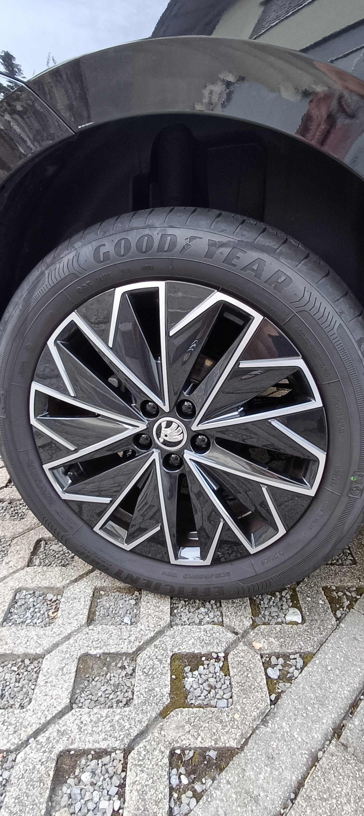 SKODA 1.5 TSI Dynamic DSG-image-5