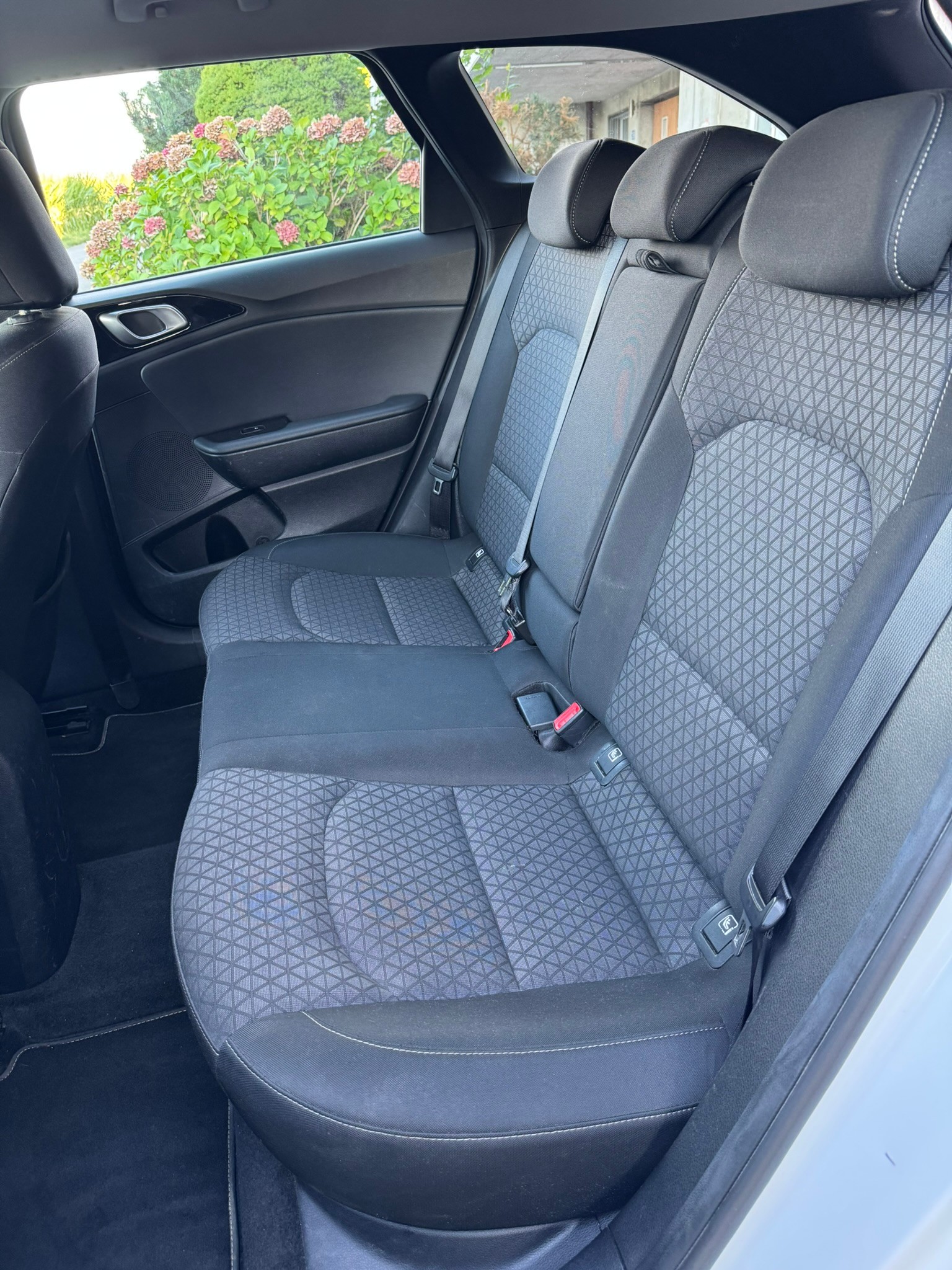 KIA 1.5 T-GDi Power-image-5