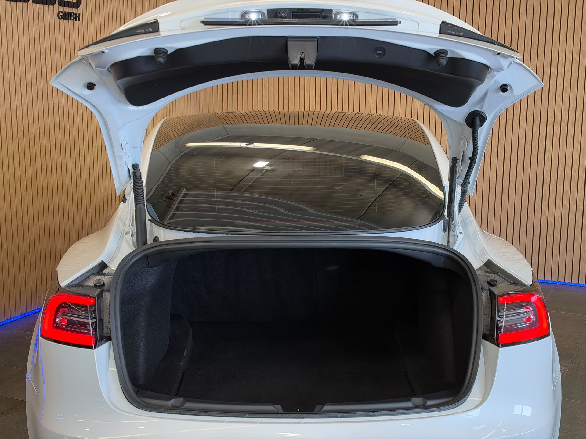 TESLA Model 3 Performance Dual Motor AWD-image-4
