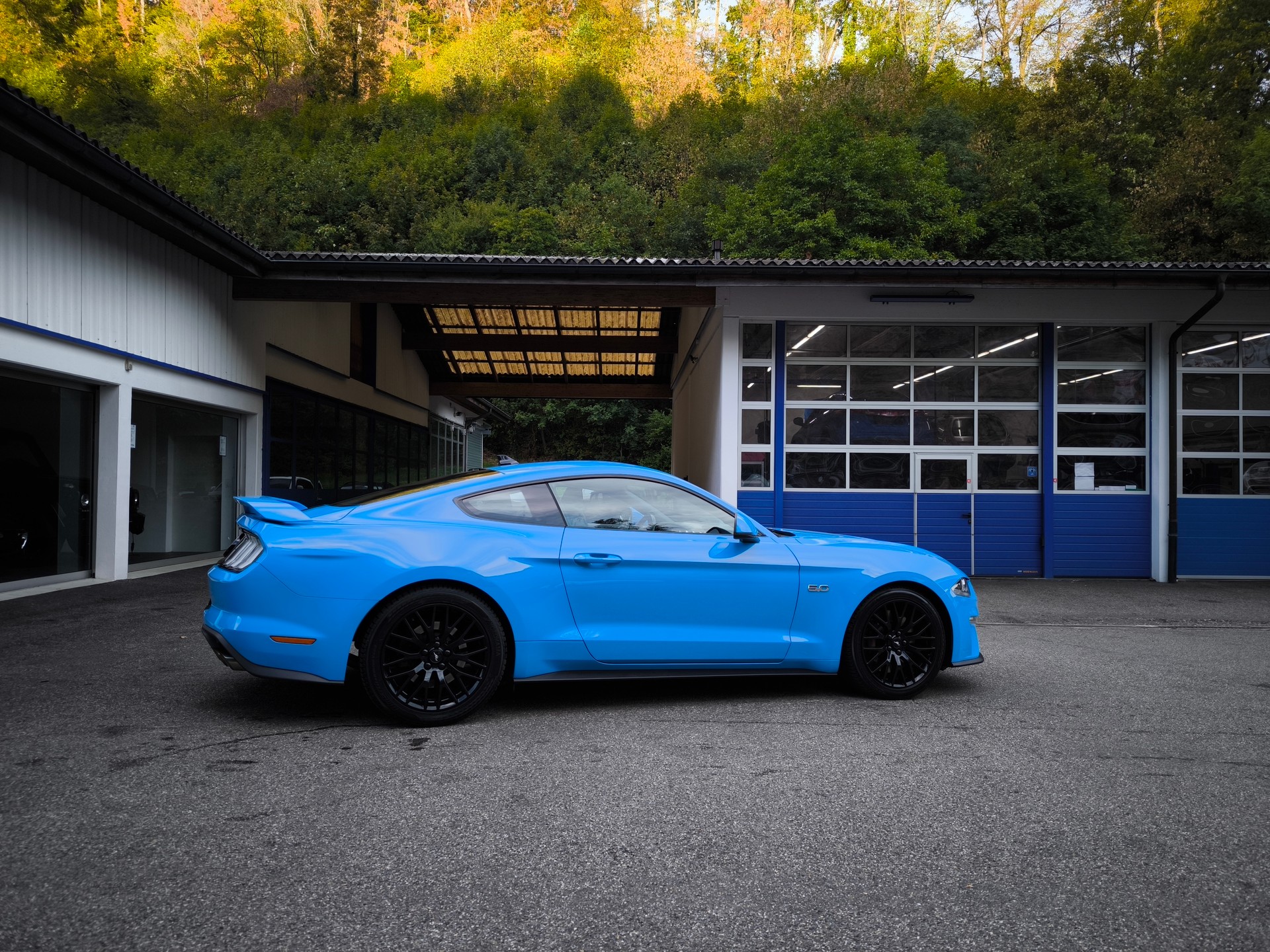 FORD Mustang Fastback 5.0 V8 GT Automat / Recaro-image-16