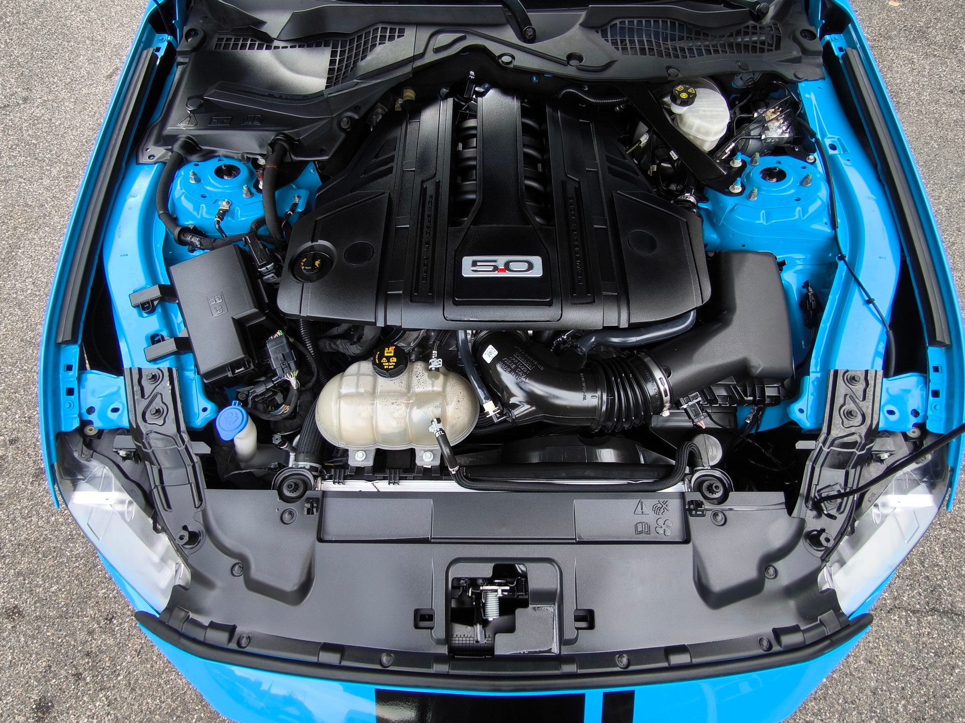 FORD Mustang Fastback 5.0 V8 GT Automat / Recaro-image-30