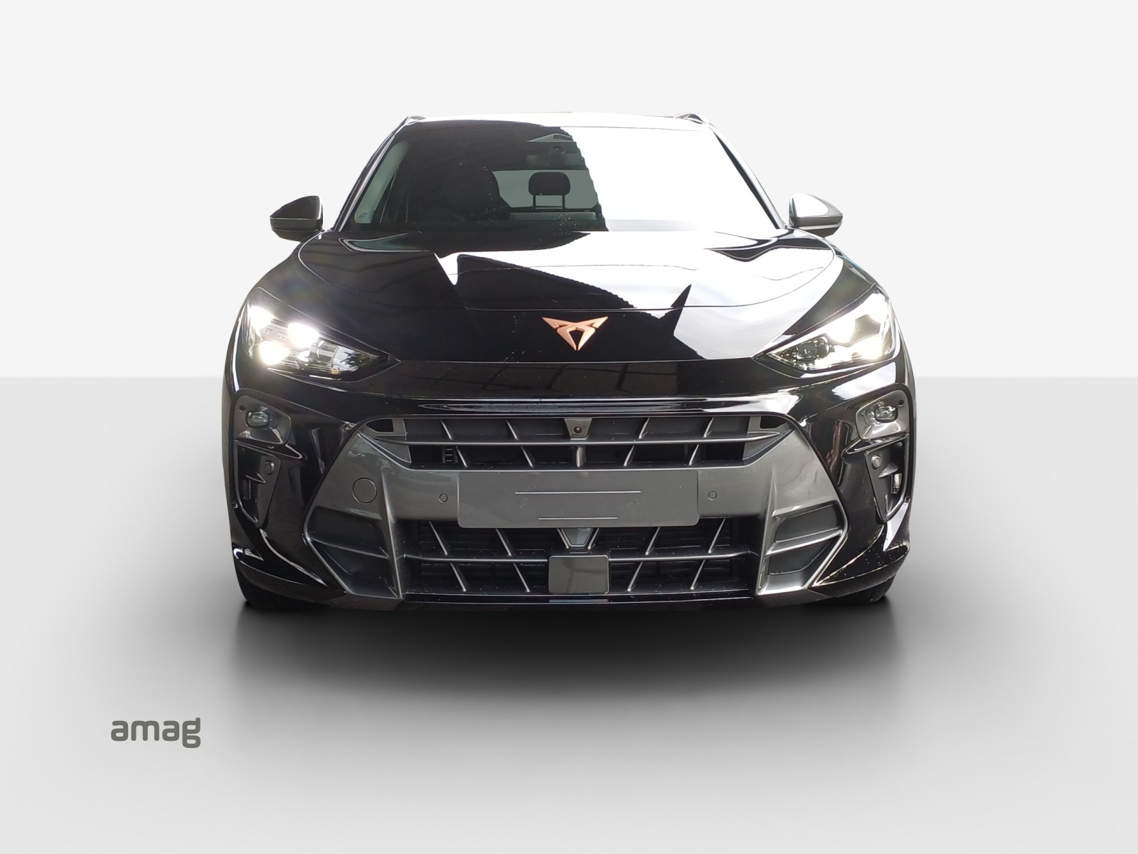 CUPRA CUPRA TERRAMAR VZ 4DRIVE PRIME EDITION 265 PS 4Drive DSG-image-6