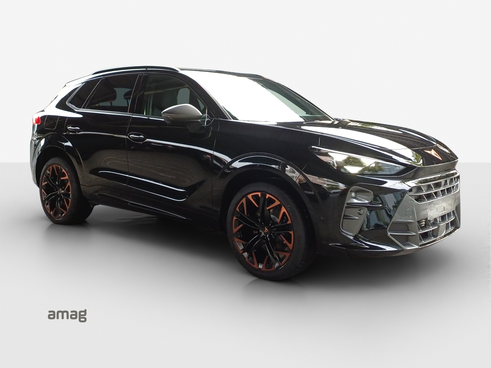 CUPRA CUPRA TERRAMAR VZ 4DRIVE PRIME EDITION 265 PS 4Drive DSG-image-5