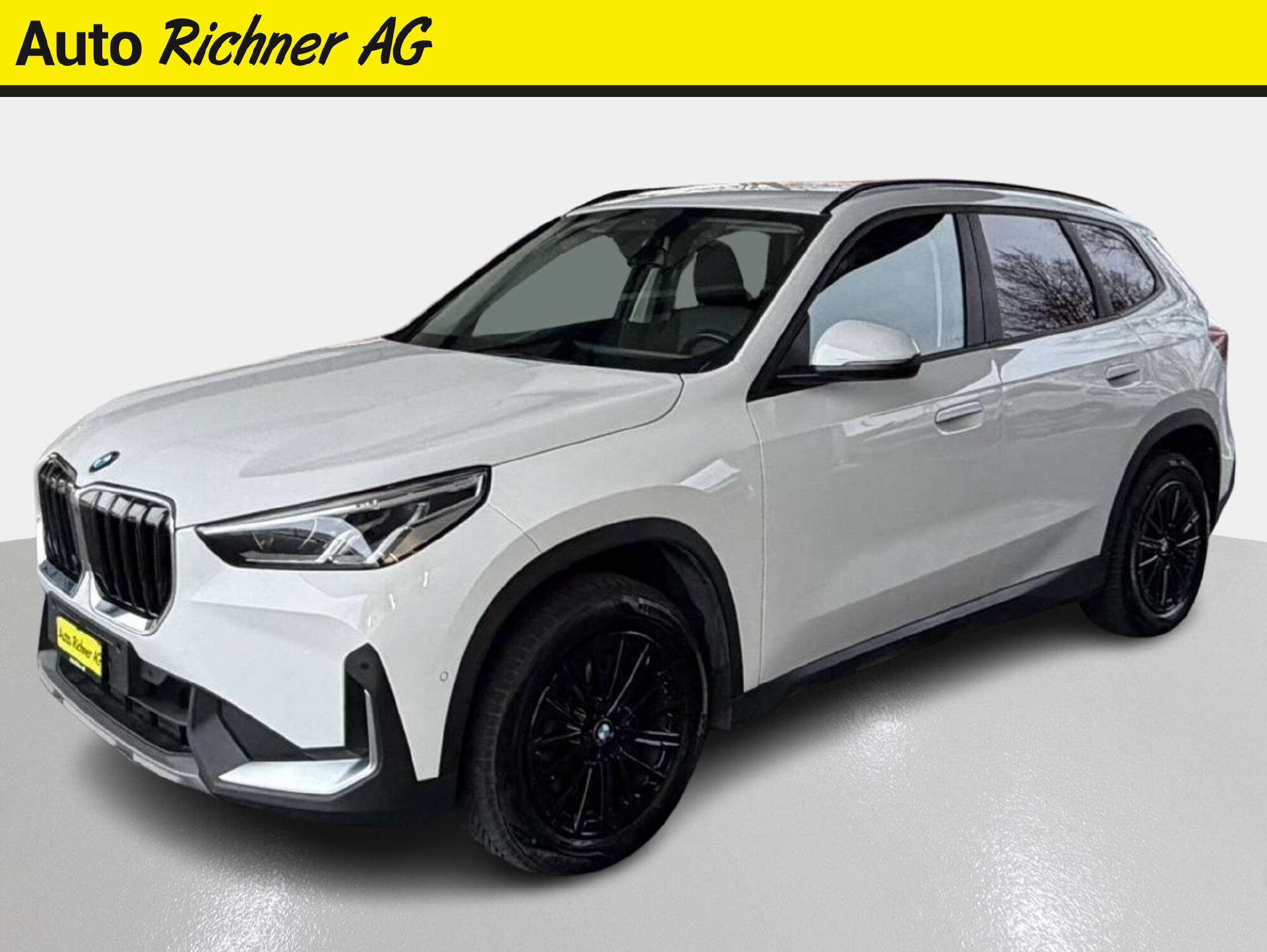 BMW X1 23i xDrive-image-1