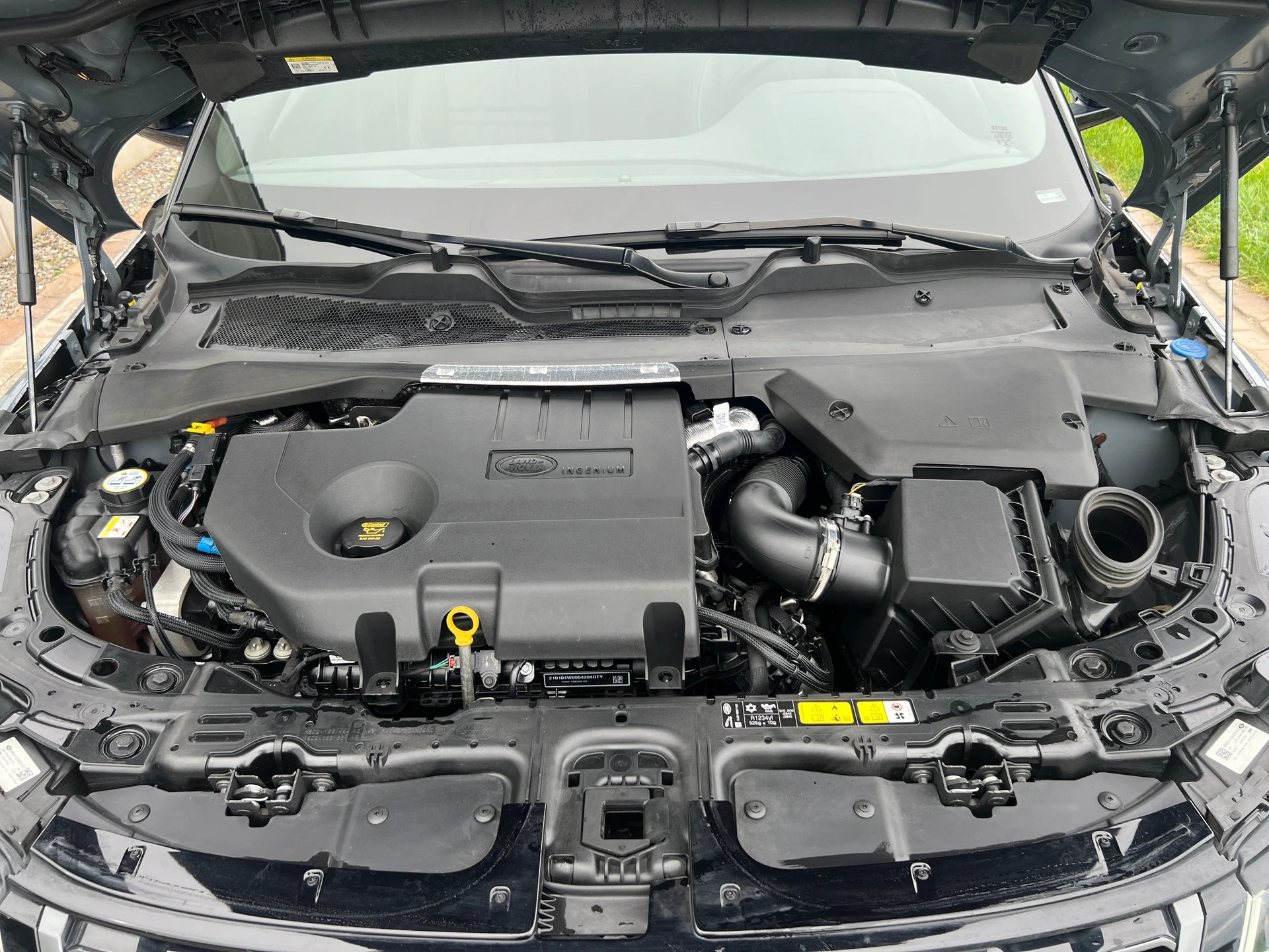 LAND ROVER Range Rover Evoque * R-Dynamic * D 200 MHEV SE * LEDER *-image-15