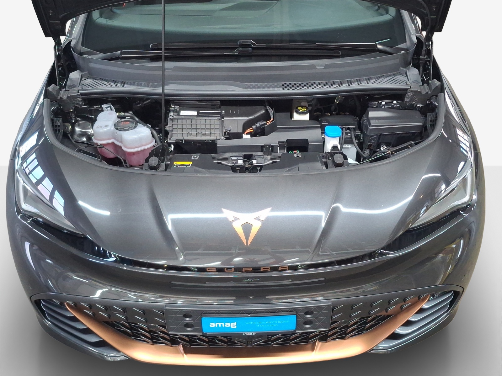 CUPRA Born 58 kWh Sensacion-image-16