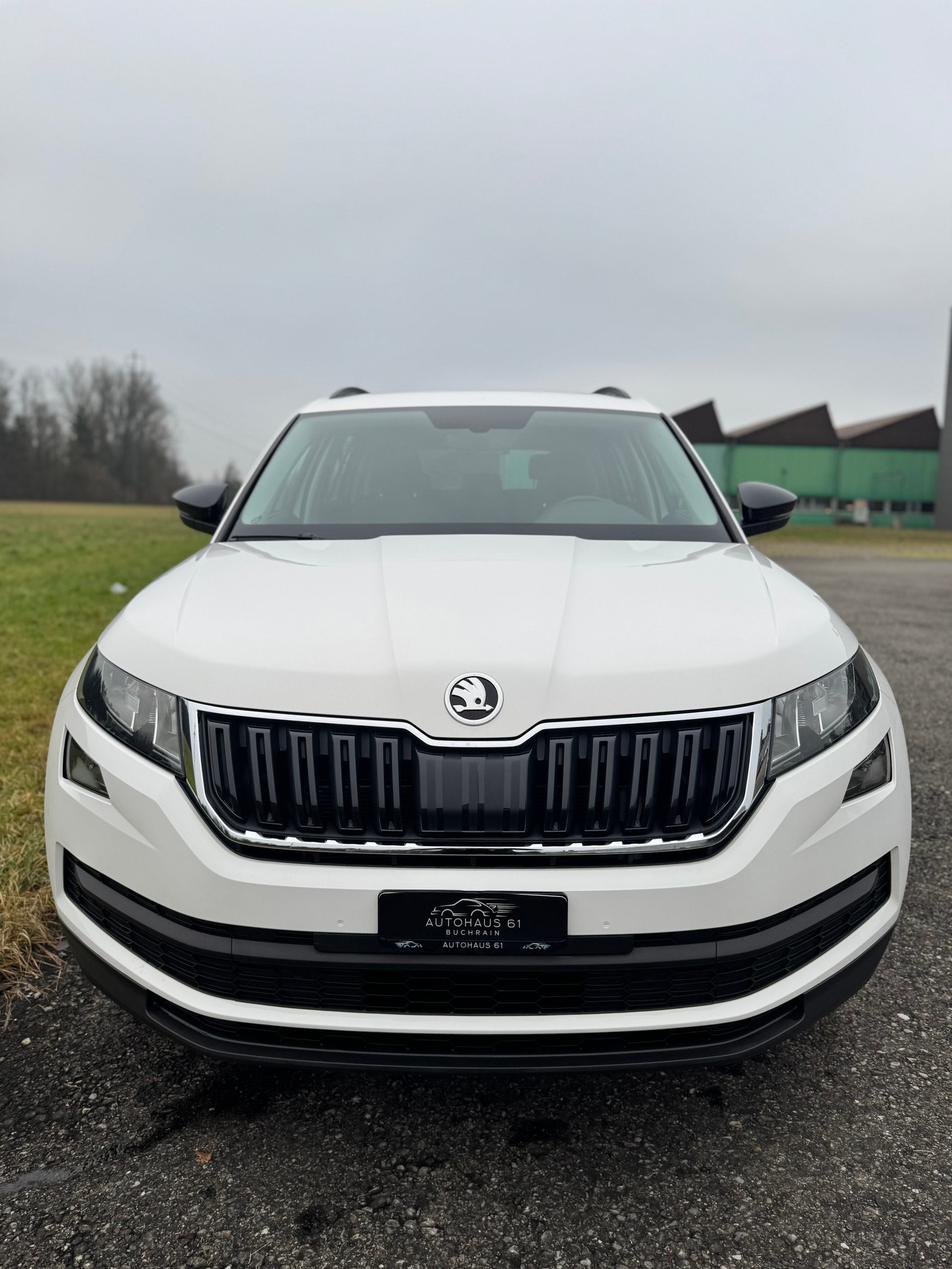 SKODA Kodiaq 2.0 TSI Ambition DSG 4x4 / ab MFK 02.2026-image-4