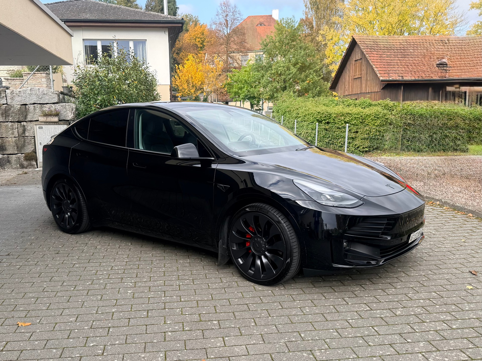 TESLA Performance D-image-3