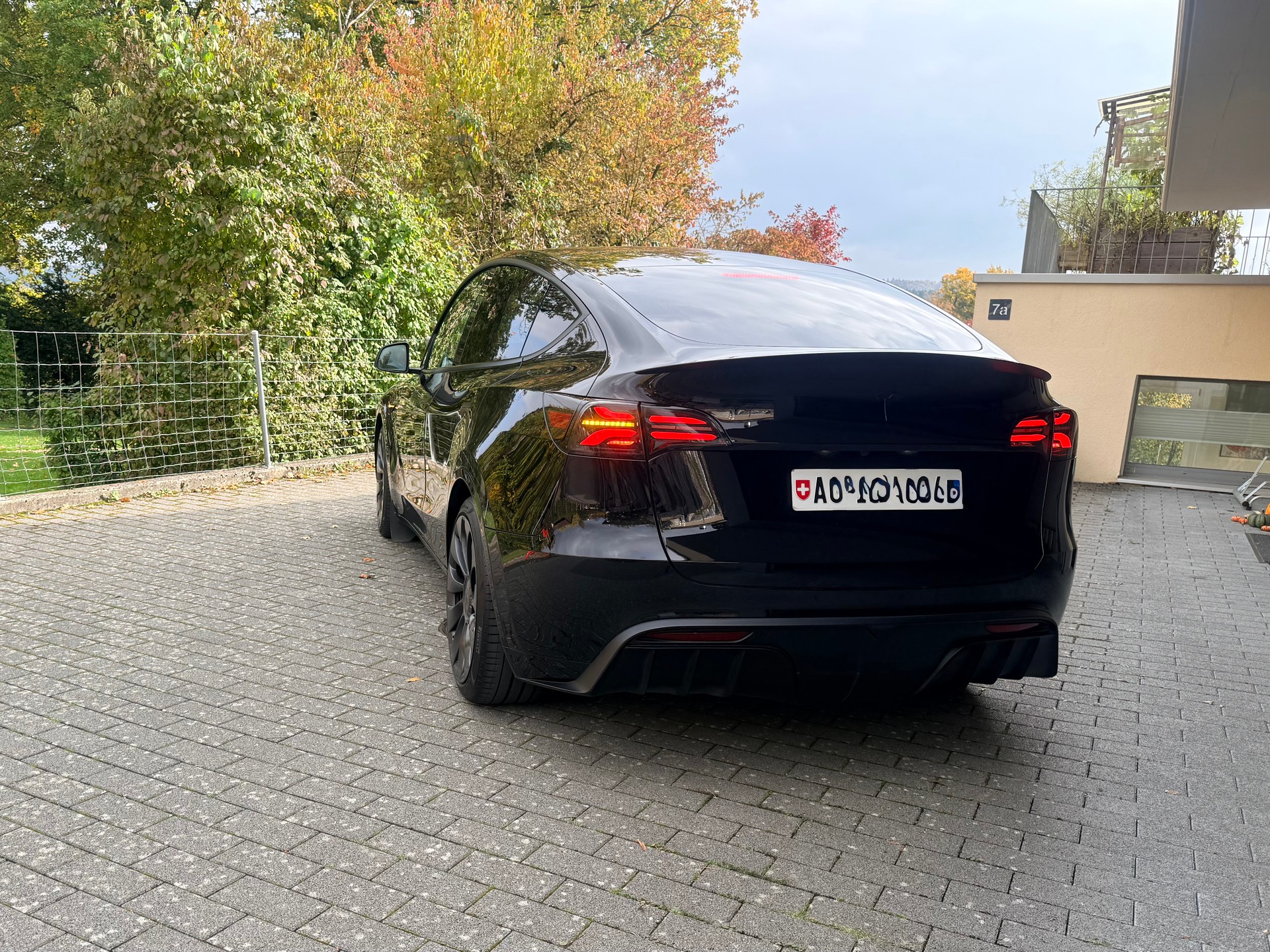 TESLA Performance D-image-5