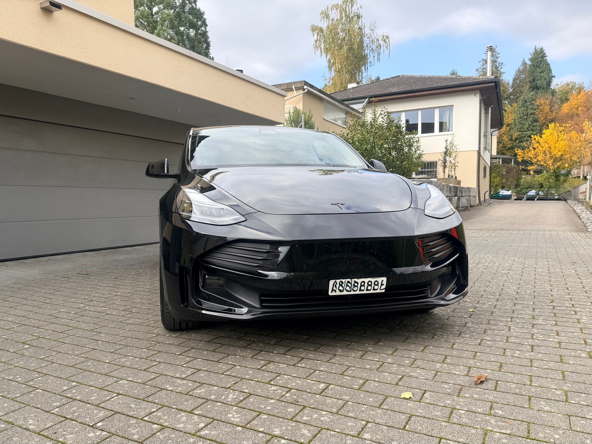 TESLA Performance D-image-0