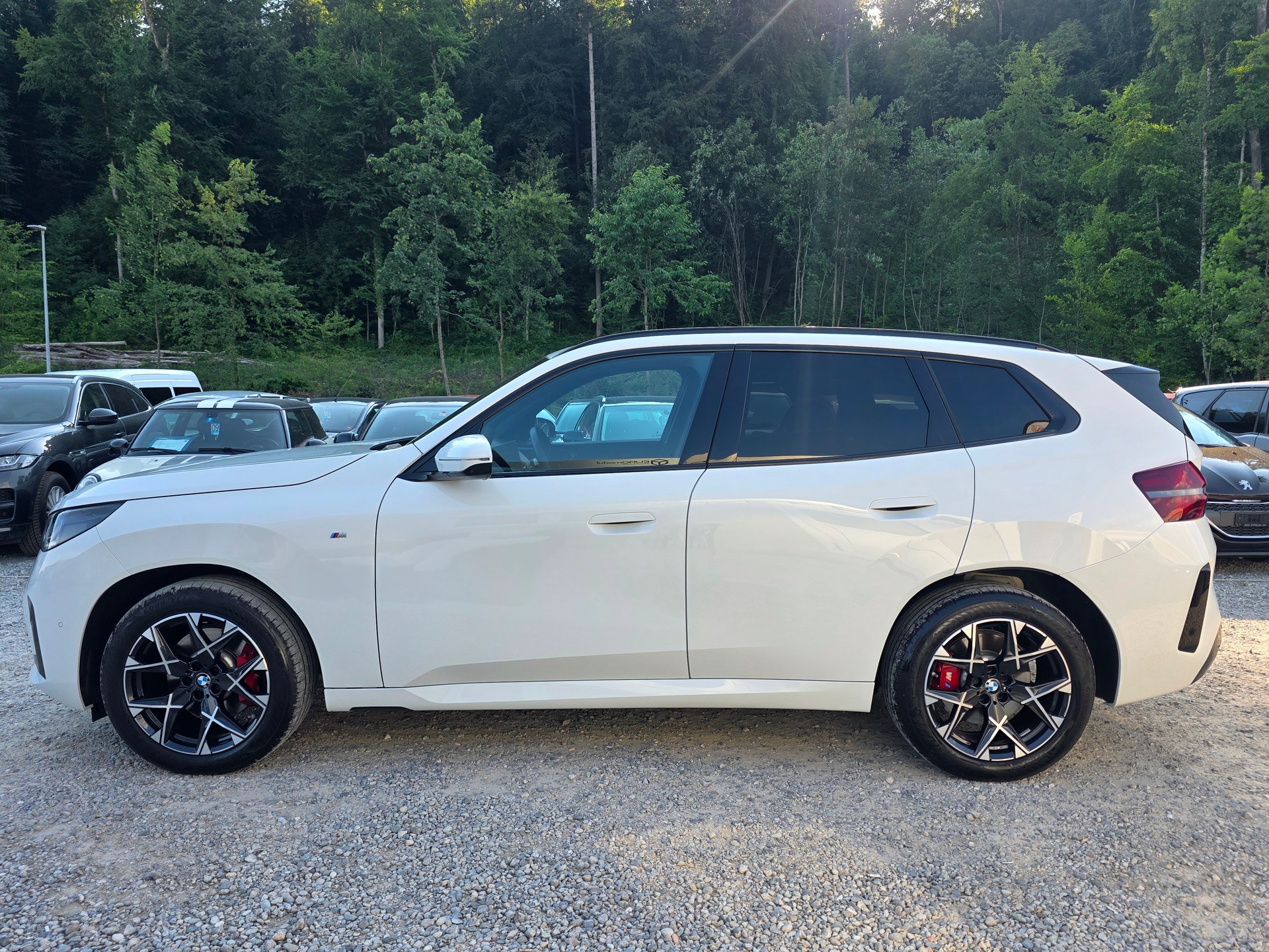 BMW X3 xDrive 48V 20d M Sport Pro-image-1