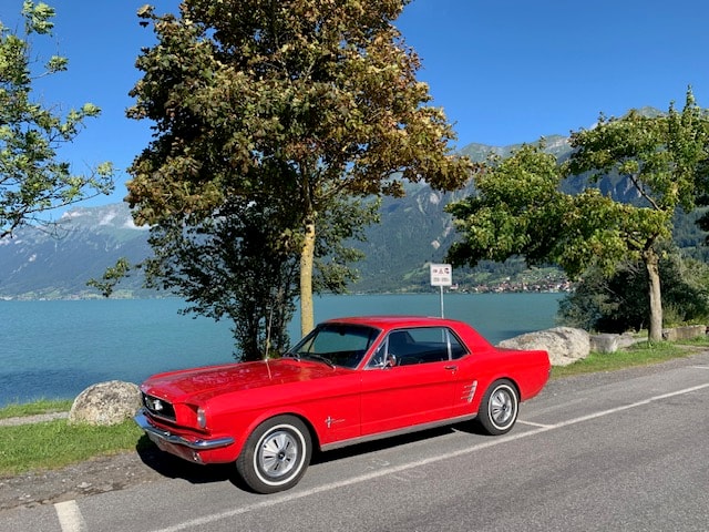 FORD MUSTANG-image-2