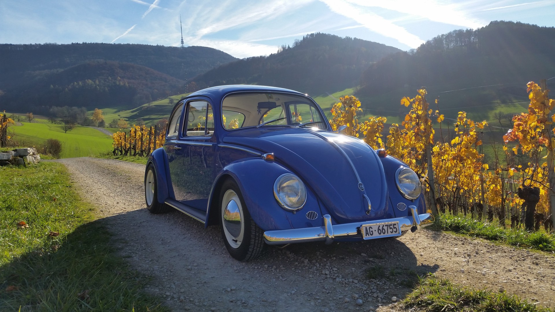 VW 1300 (1966)-image-1
