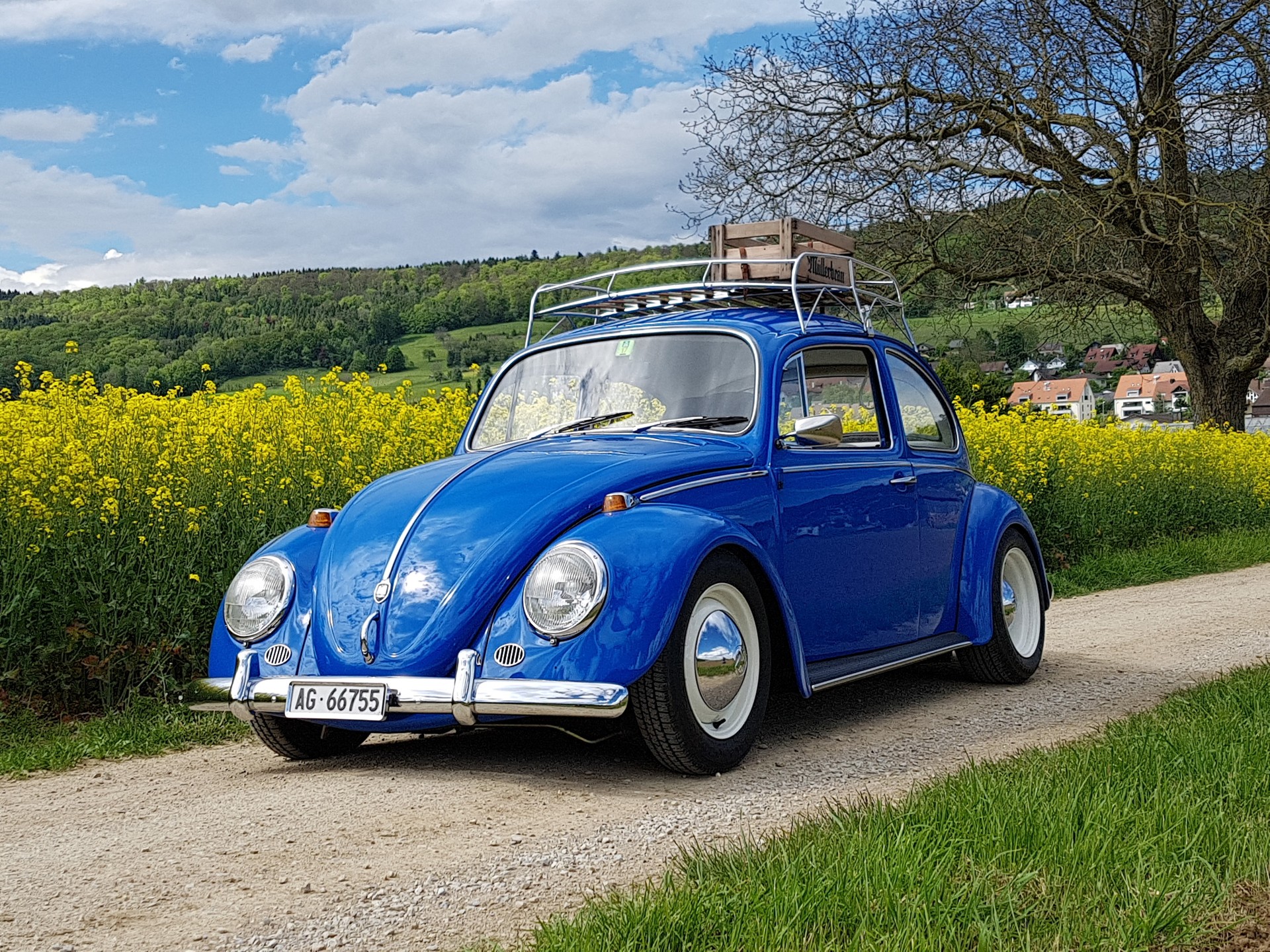 VW 1300 (1966)-image-0