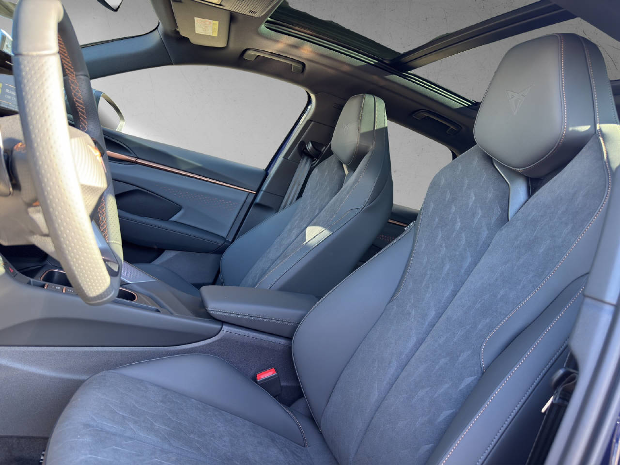 CUPRA Terramar 2.0 TSI Prime Edition 4Drive DSG-image-10