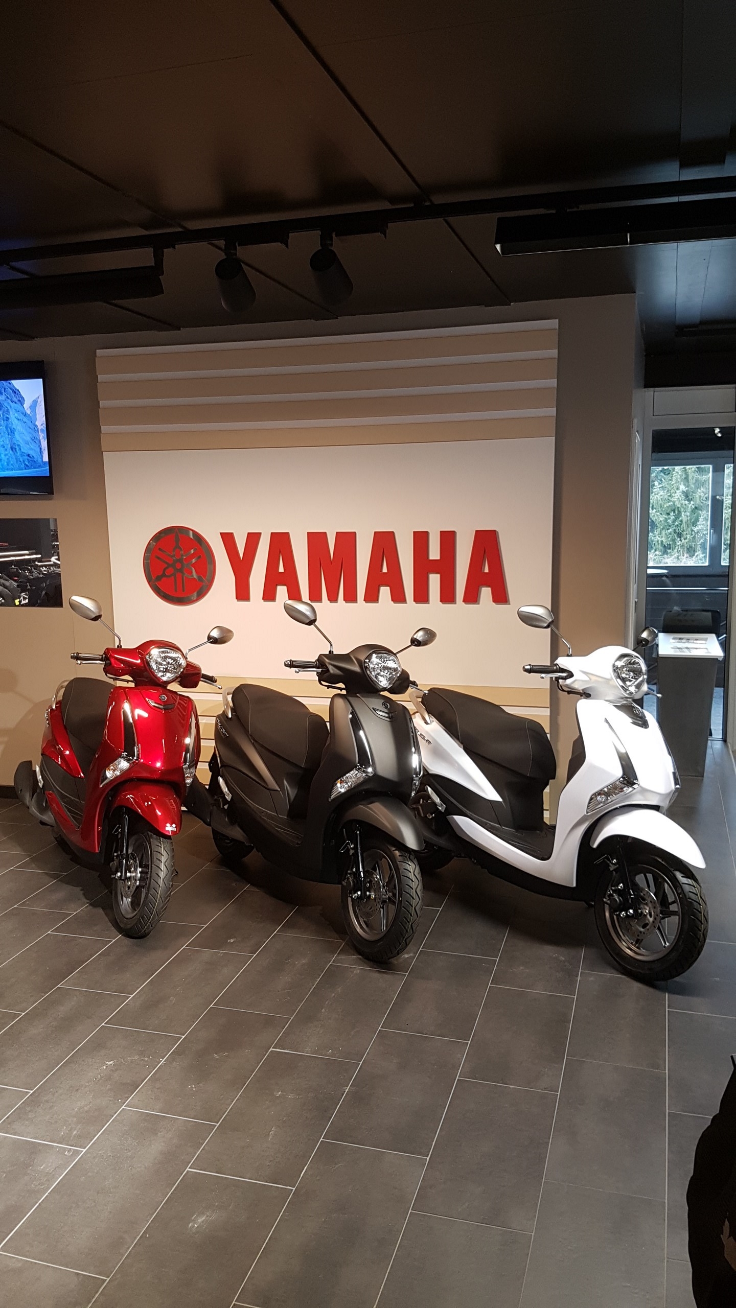 YAMAHA D'elight LTS 125-image-1
