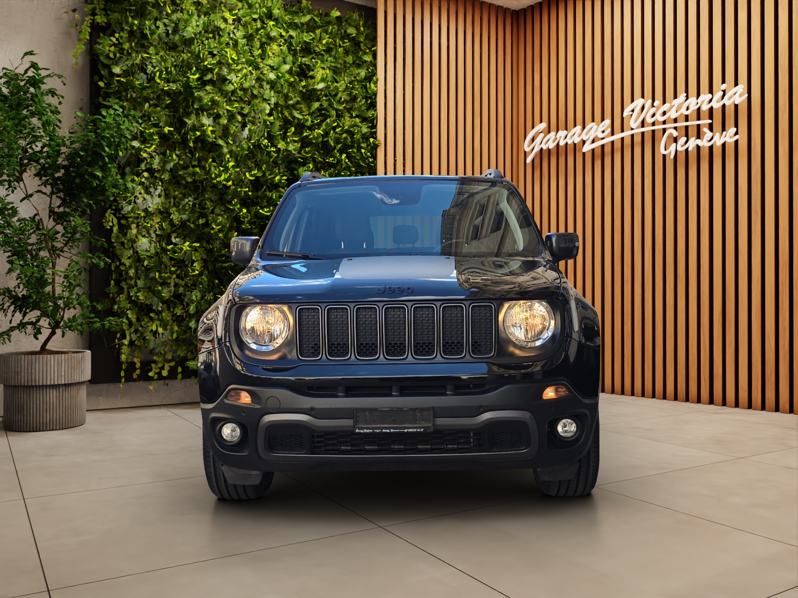 JEEP Renegade 1.3 T PHEV Trailhawk Plus AWD-showroom-element-1